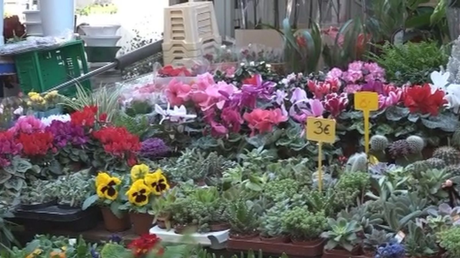 Así vive uno de los floristas de Tirso de Molina