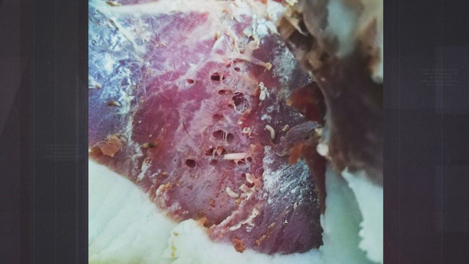 Jamones putrefactos vendidos a precio de ibérico