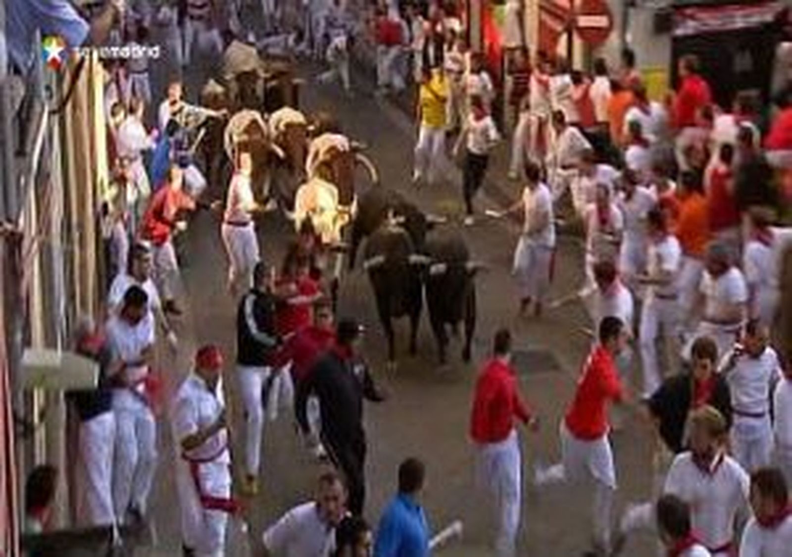 toros.mp4
