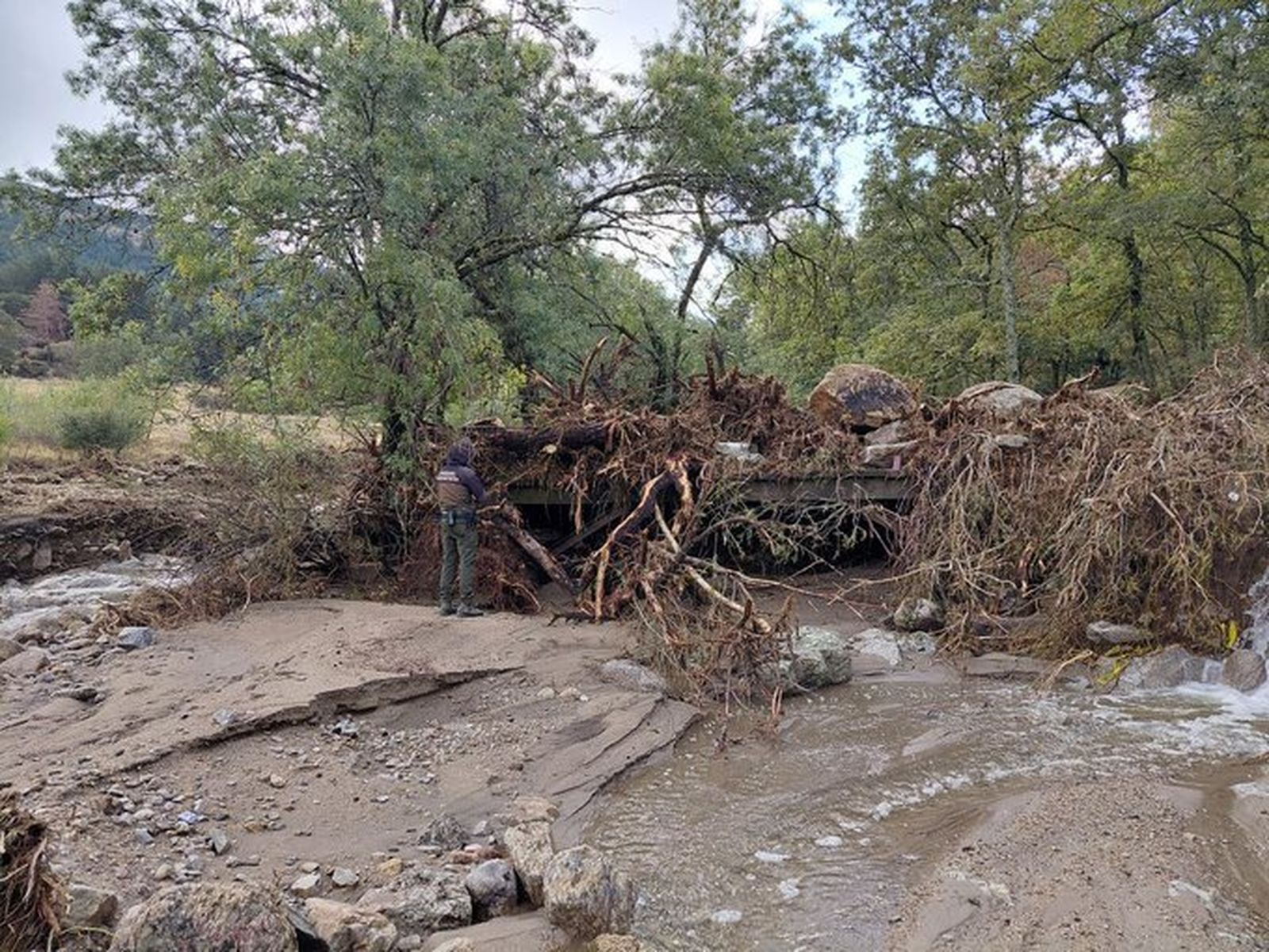 Varios árboles caídos por el temporal cerca de la Cascada del Purgatorio