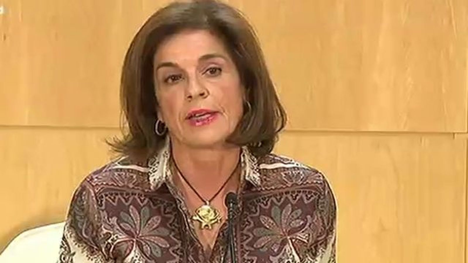 Botella anuncia una bajada del 20% en el IBI en 2016