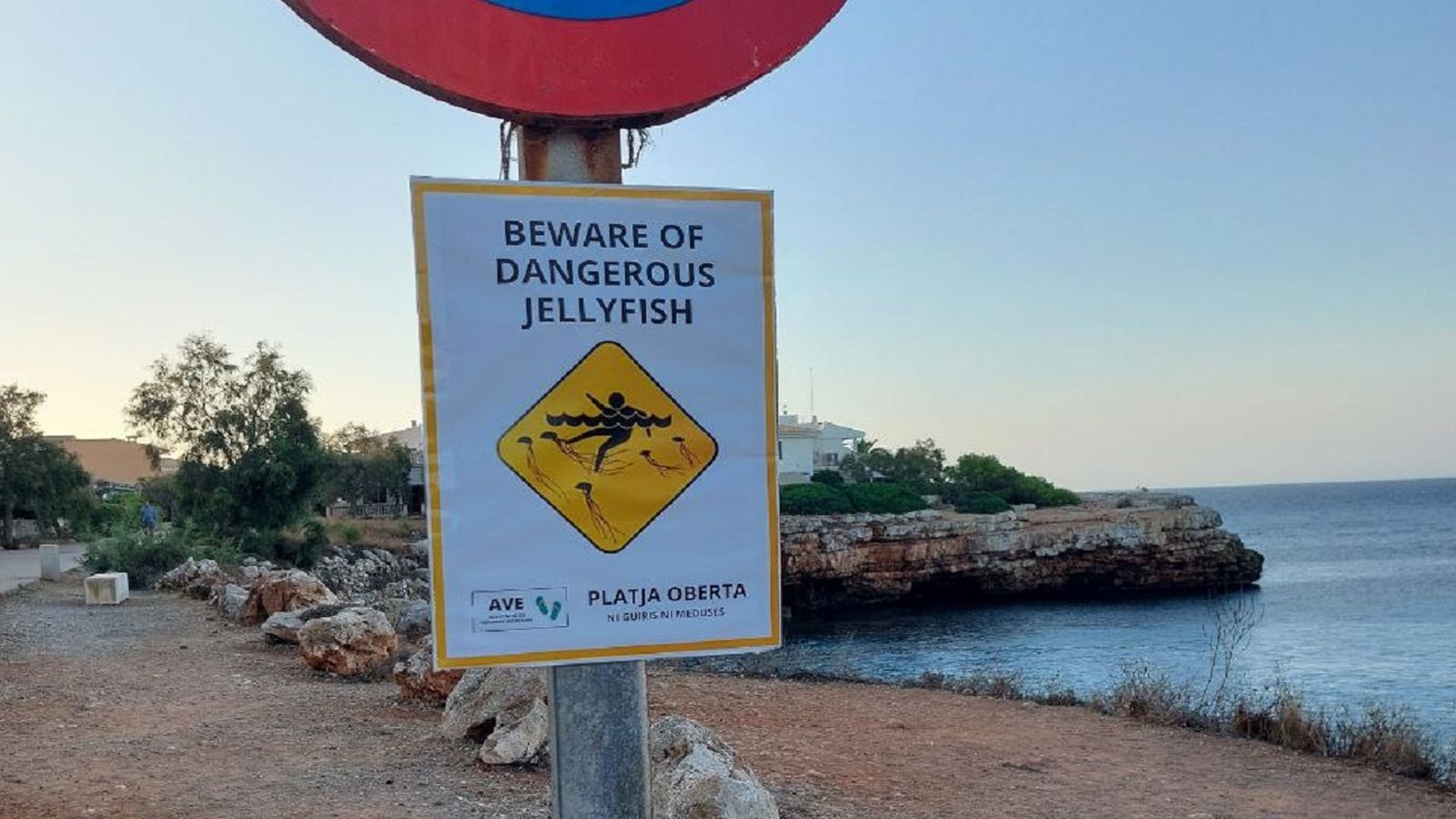 Carteles falsos