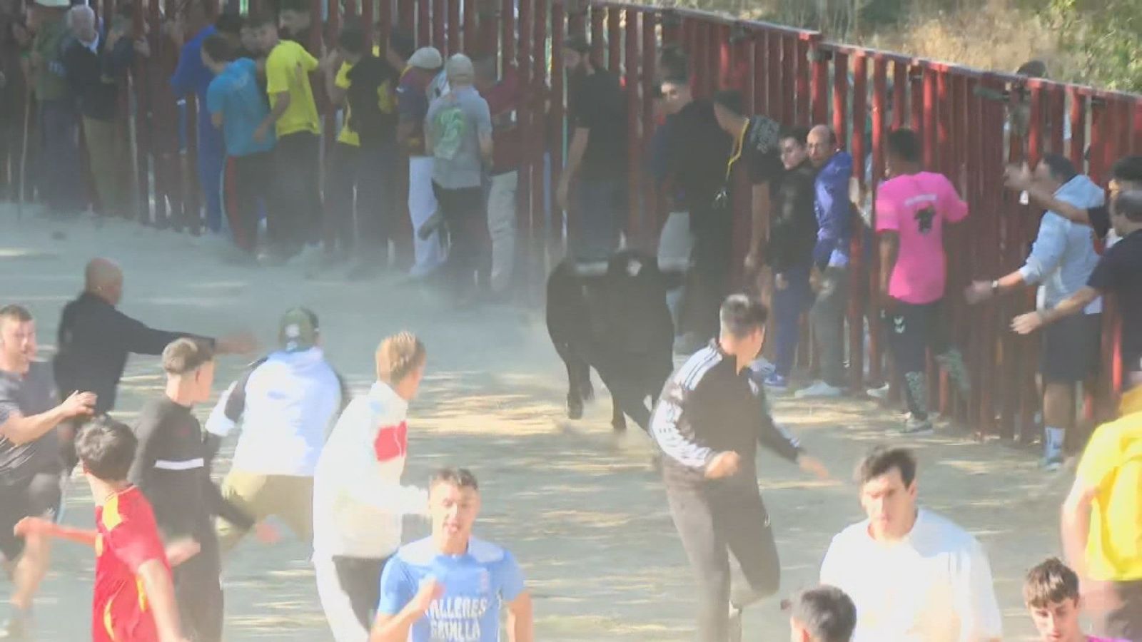 Quijorna recupera sus encierros por segundo año consecutivo
