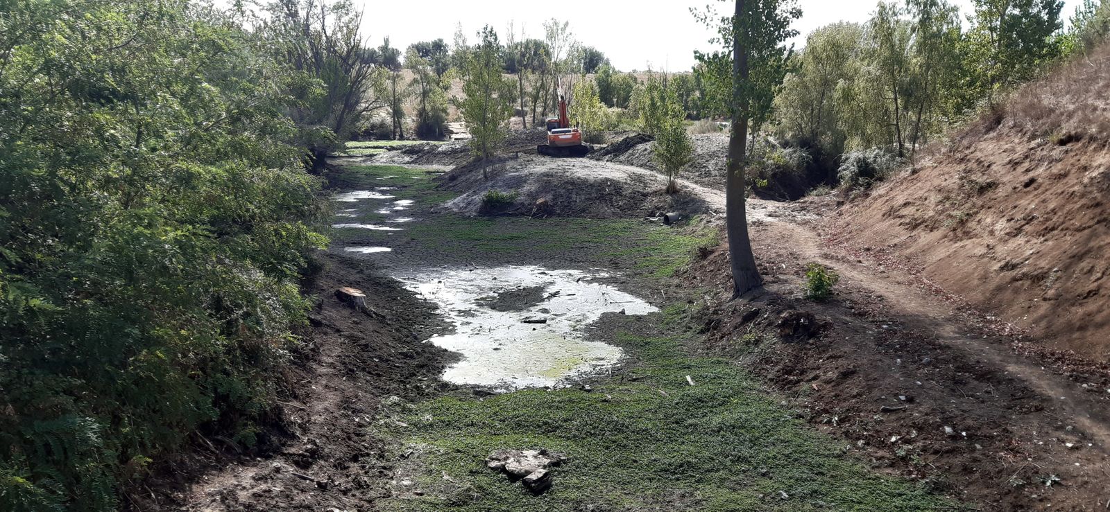 Una excavadora trata de eliminar la 'Ludwigia' que ya ha colonizado el lecho de la laguna