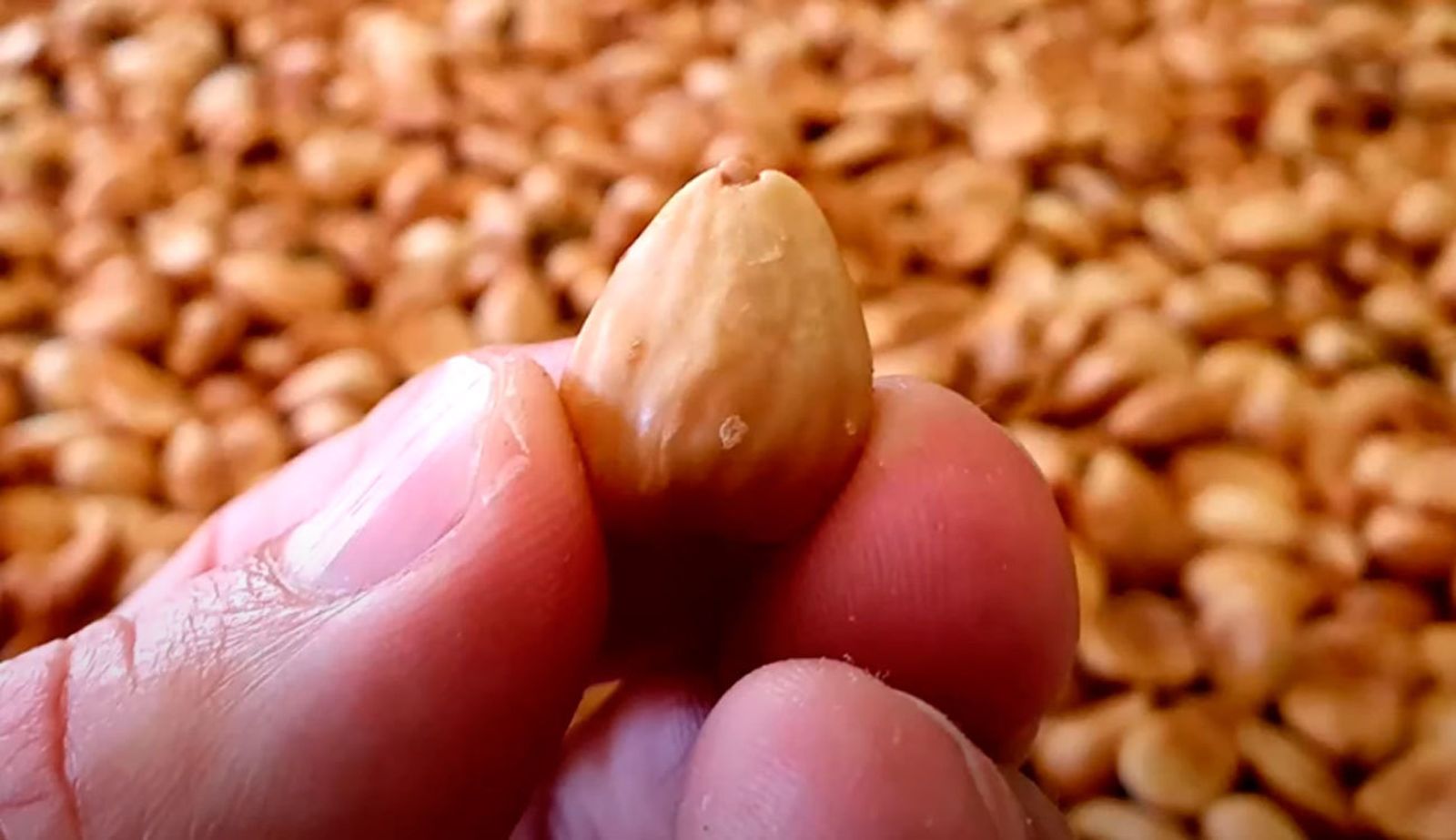 Almendras