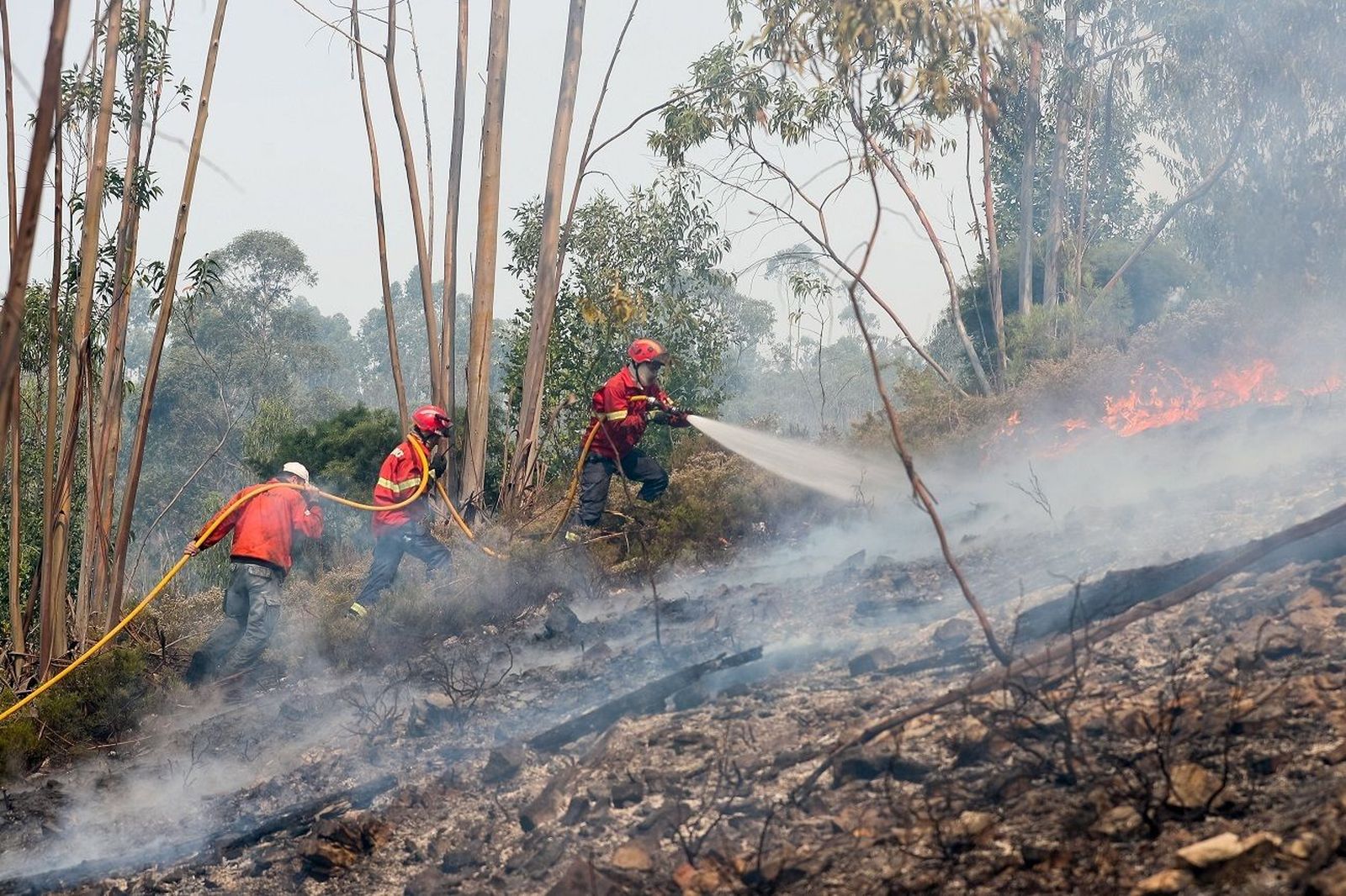 Más de 3.000 hectáreas quemadas en el incendio de Portugal