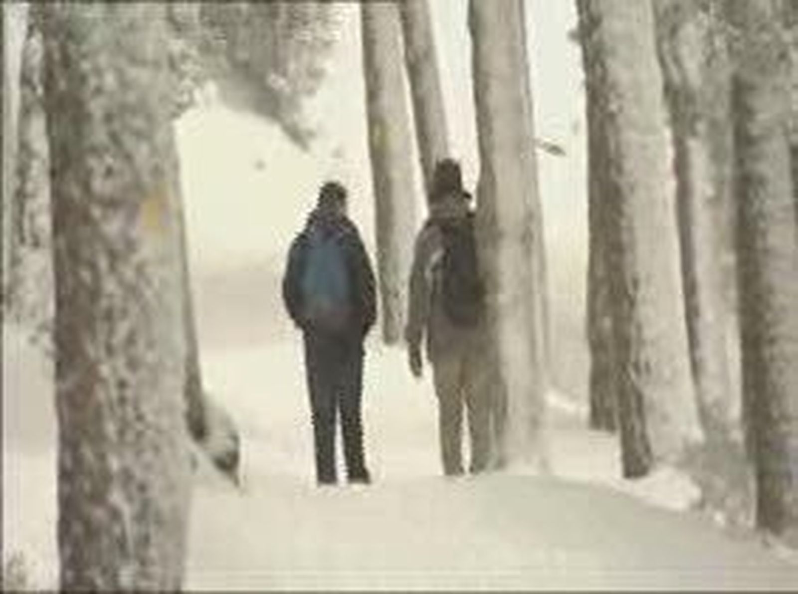13nieve_20101130V0.wmv