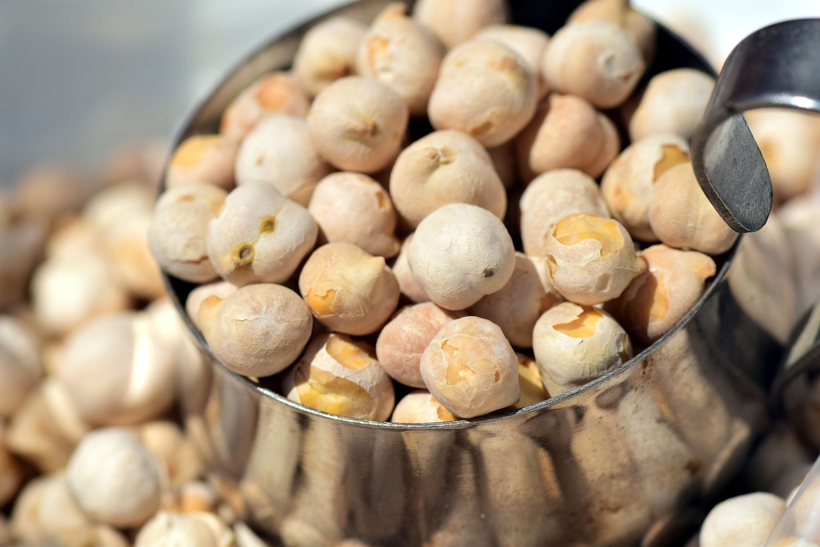 garbanzos
