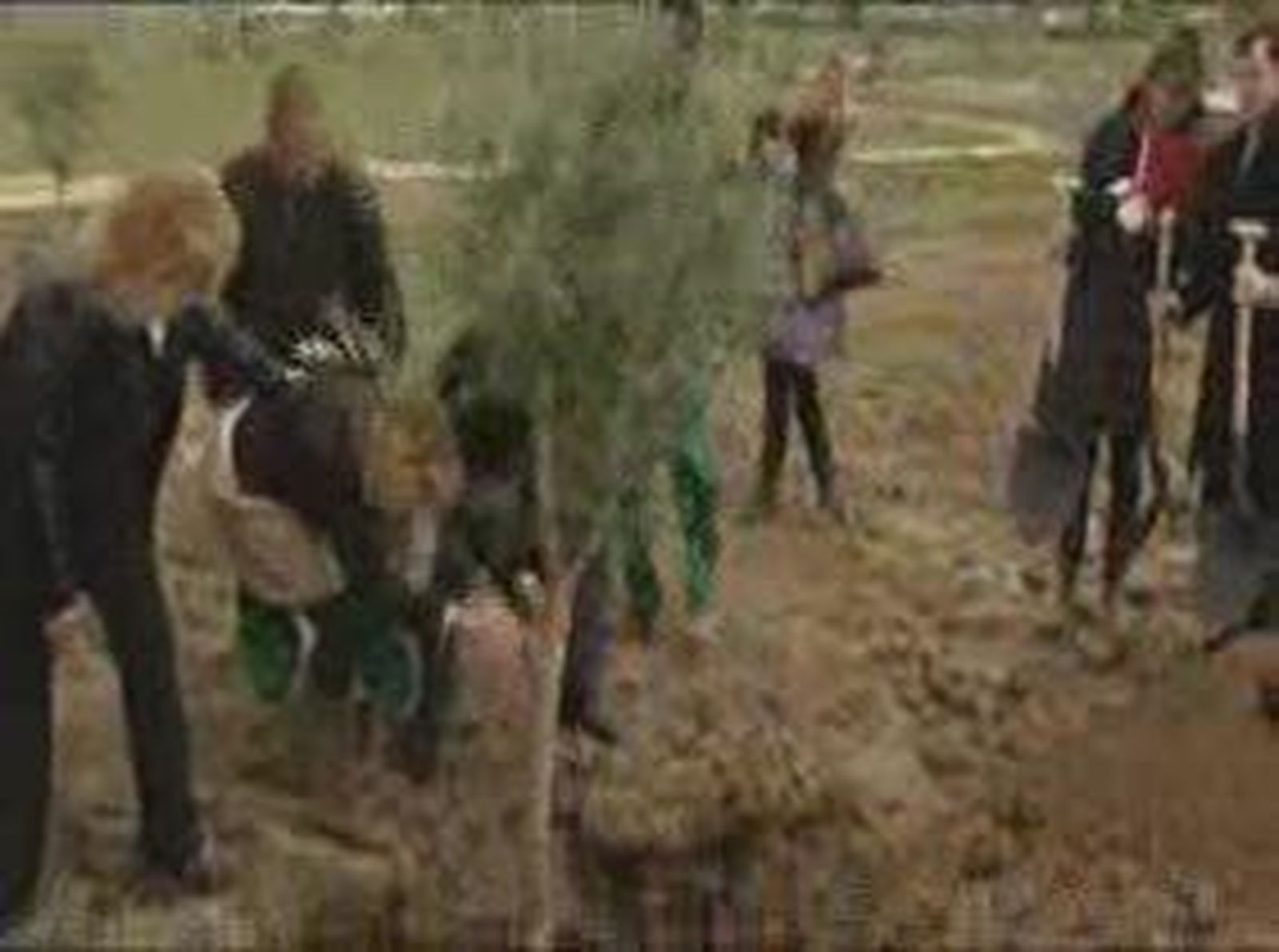 Aguirre planta el último árbol de Bosquesur, el pulmón verde del sur de la Comunidad