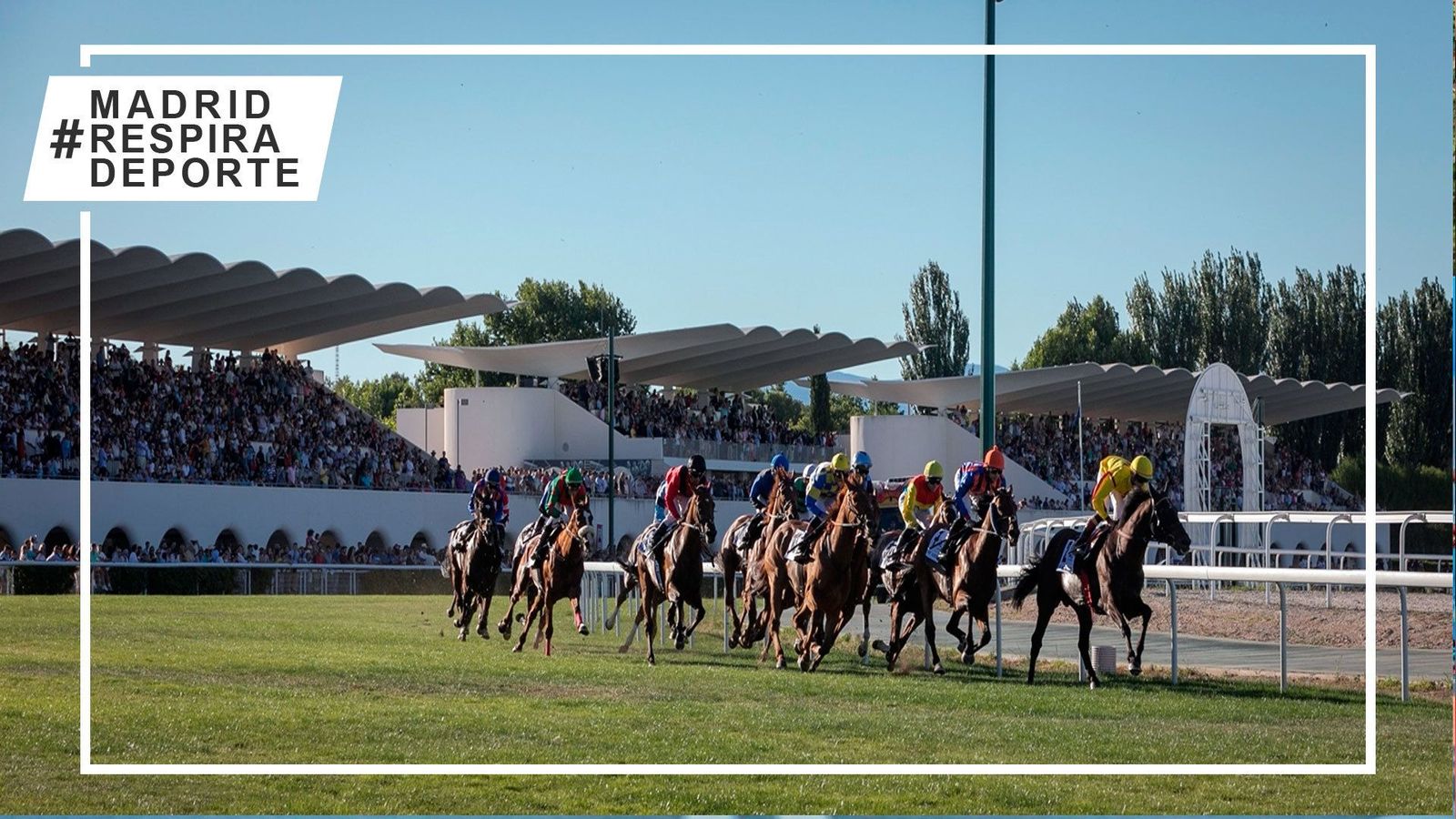 Vuelven las carreras al Hipódromo de la Zarzuela