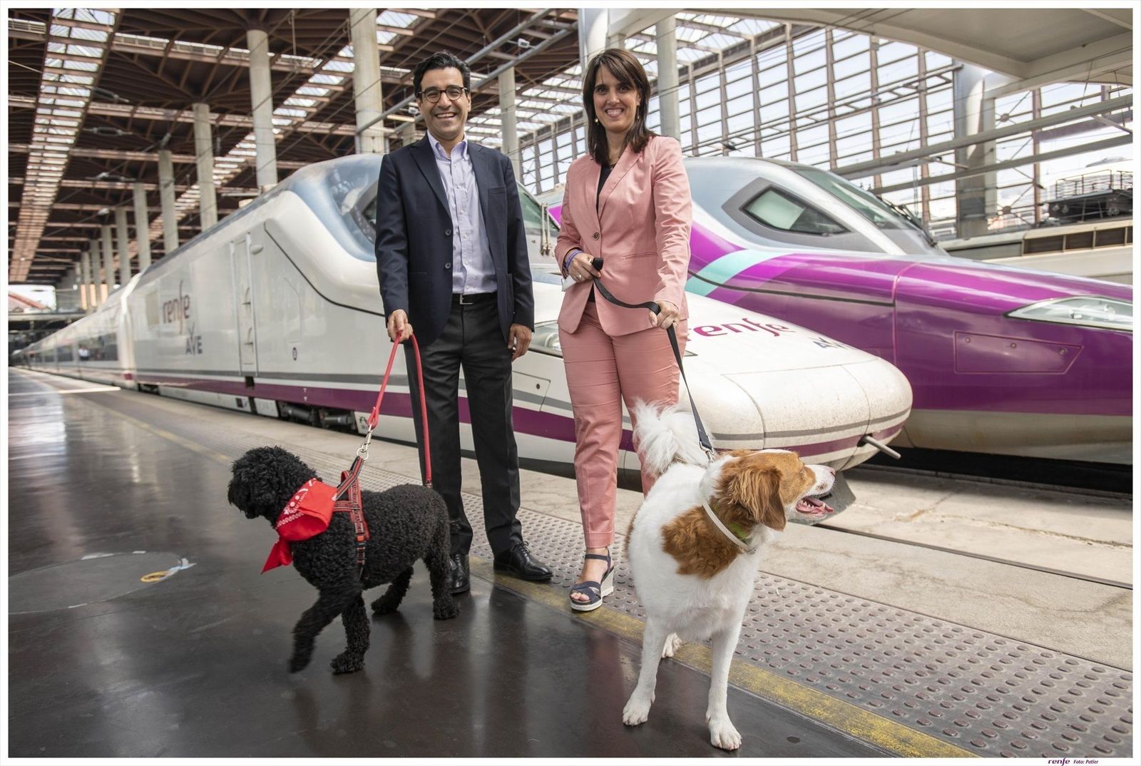 Renfe pone a la venta billetes para viajar en AVE con perros de hasta 40 kilos