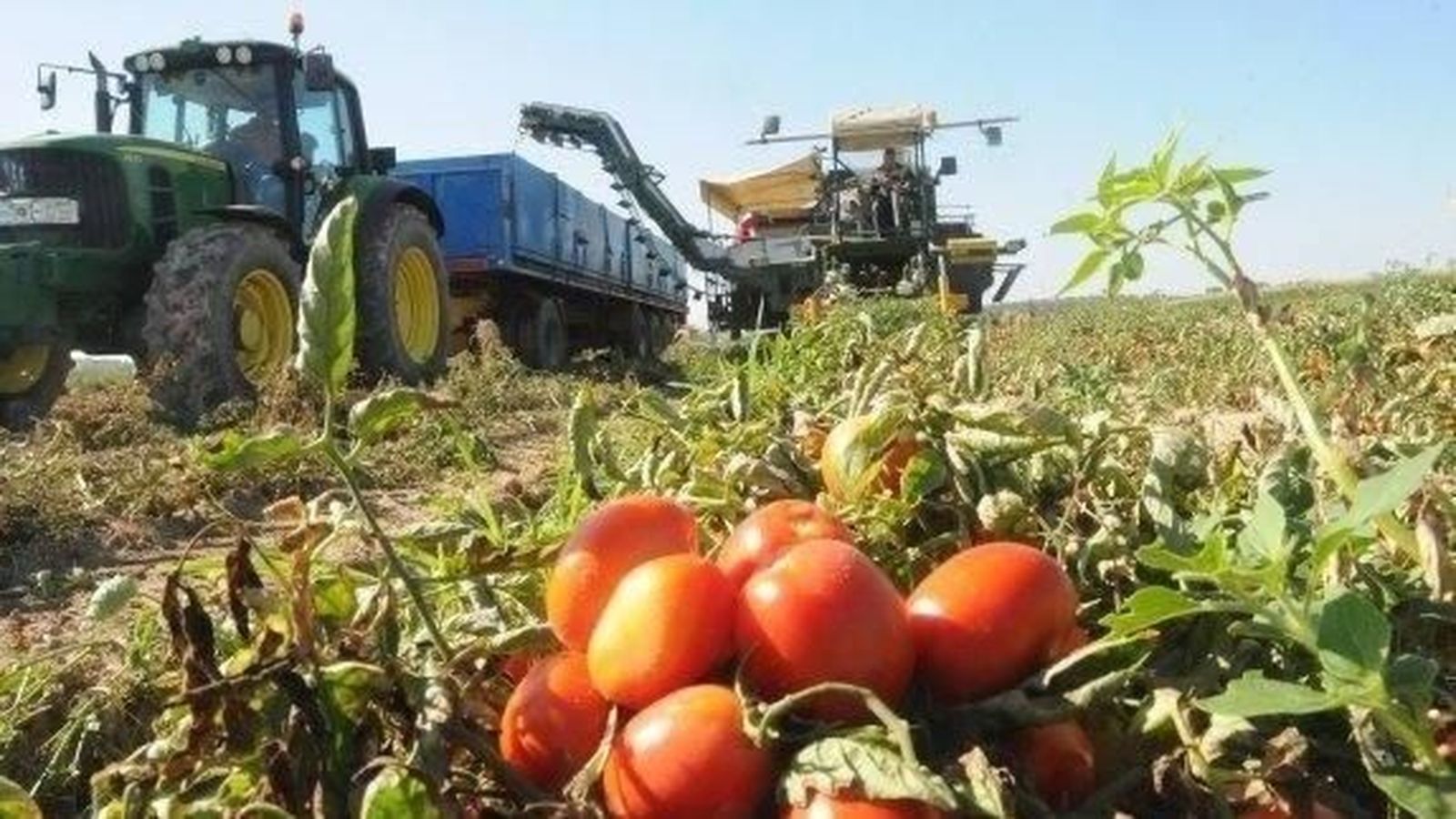 El campo español se asfixia mientras Europa da más ayudas a Marruecos