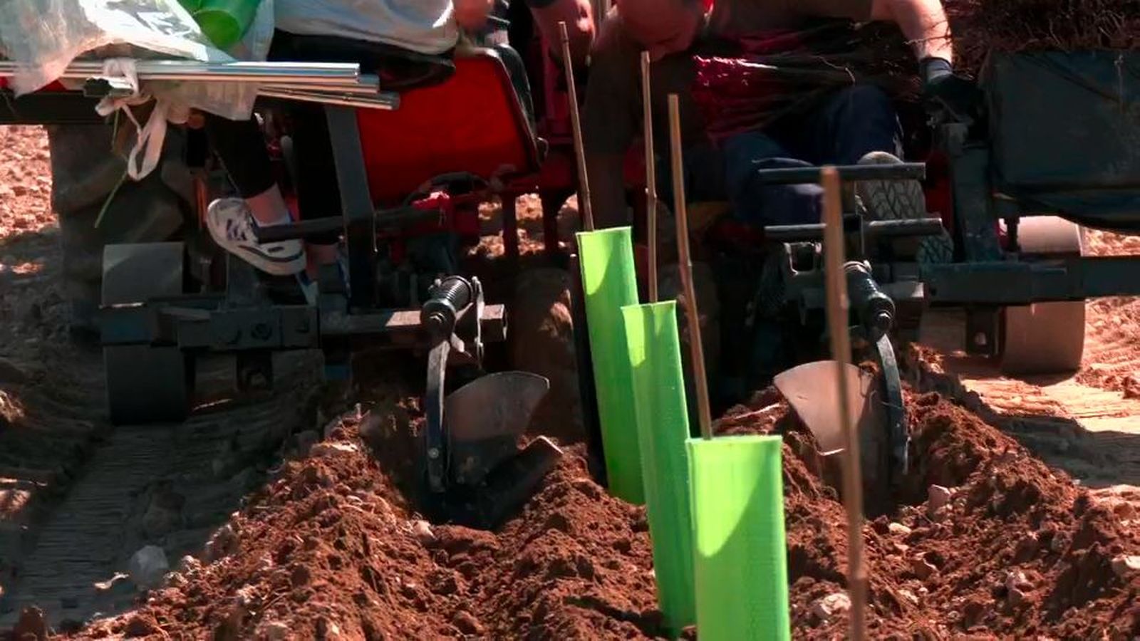 El tractor de invención propia que emplean en Arganda para plantar viñedos
