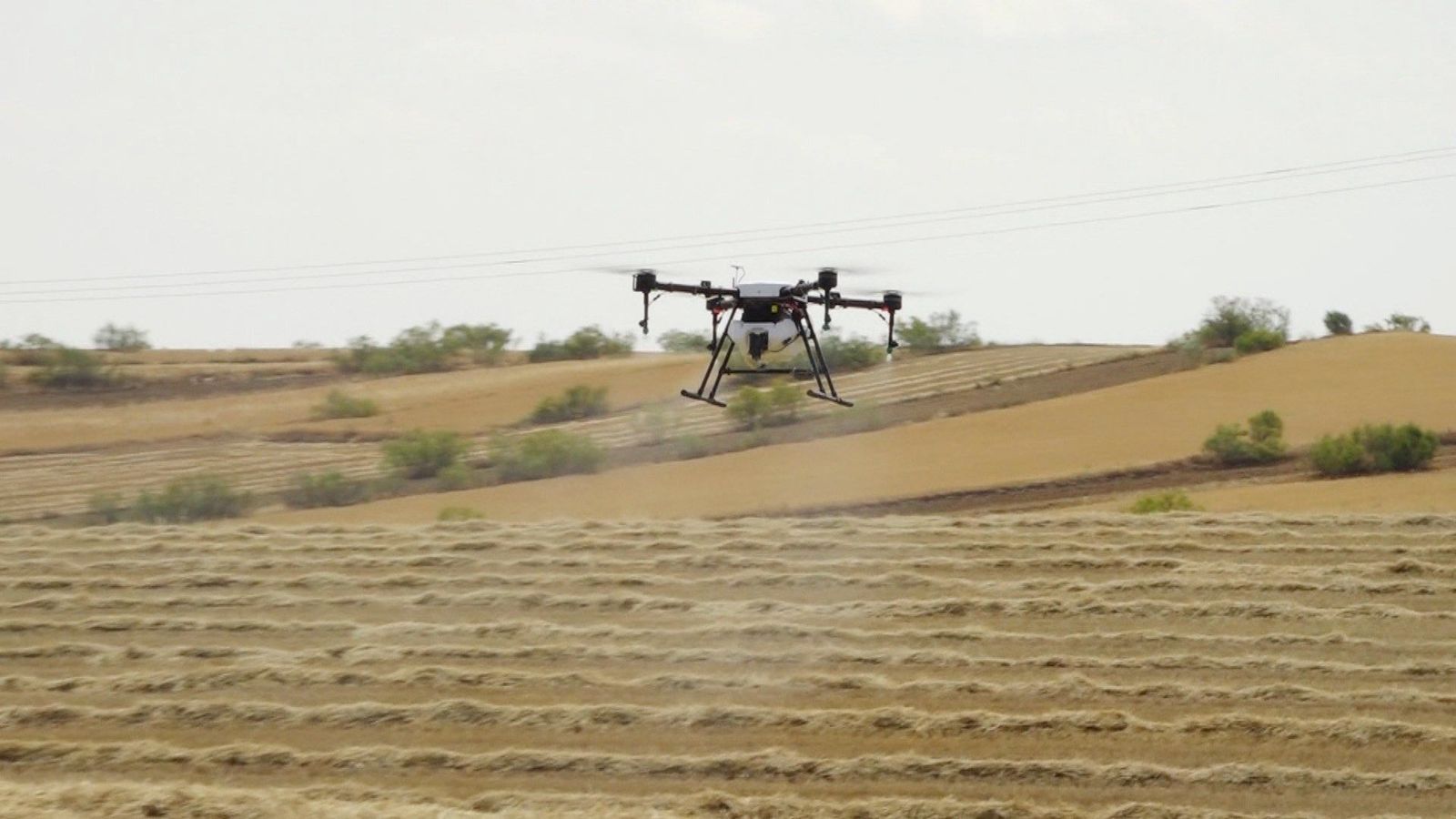 Conocemos la función del dron fumigador