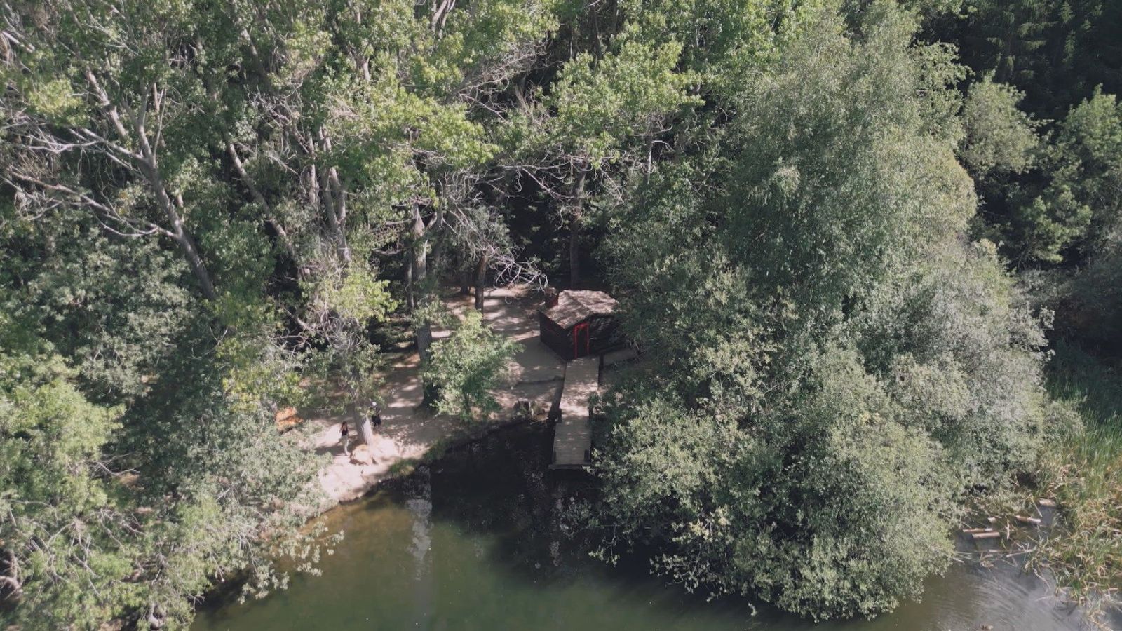 Un bosque finlandés de cuento de hadas en Rascafría