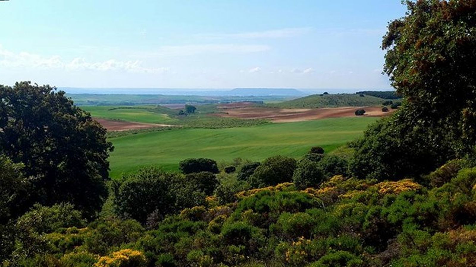 Paisaje de Daganzo de Arriba