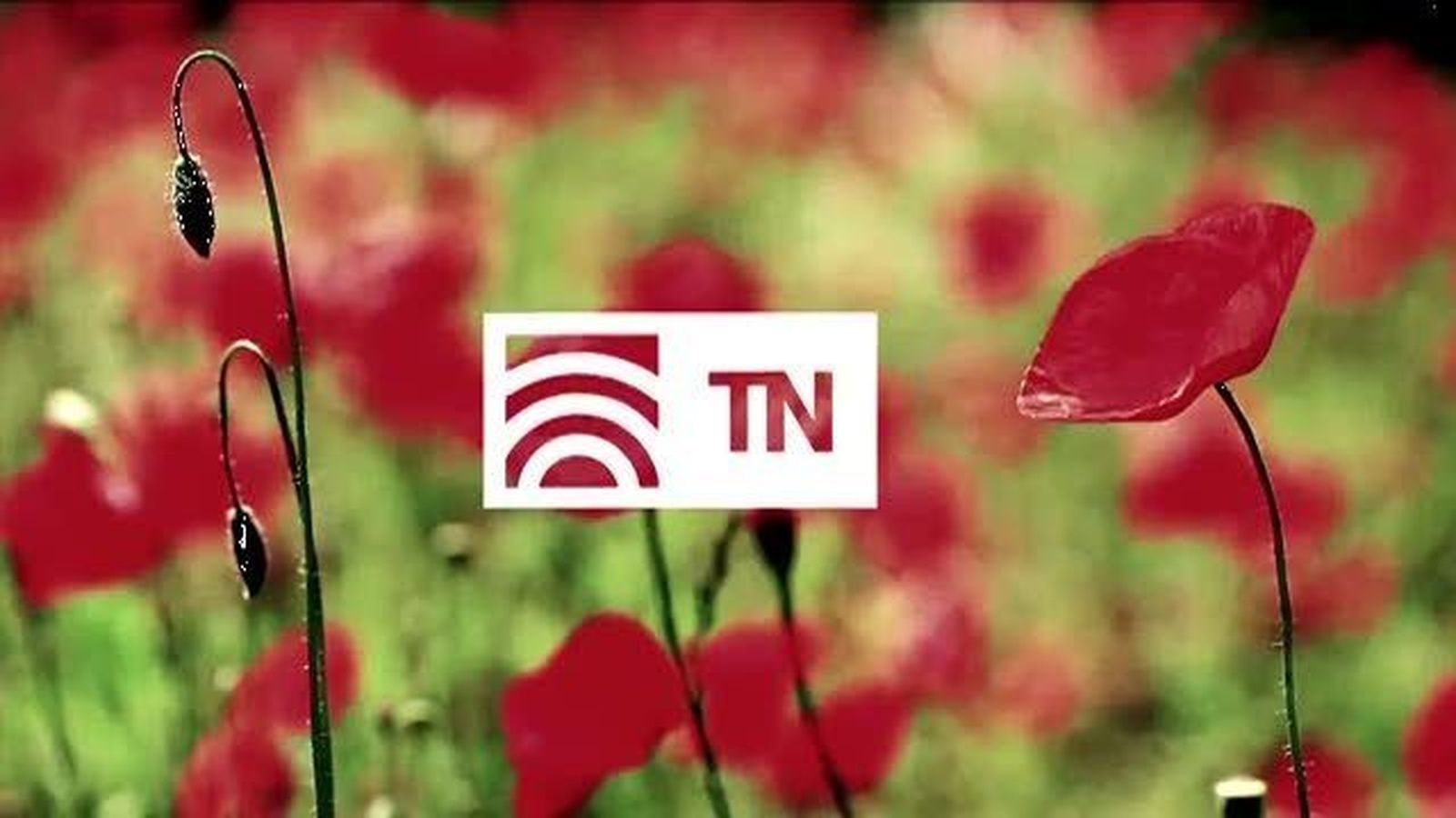 El Tiempo 1 13.02.2018