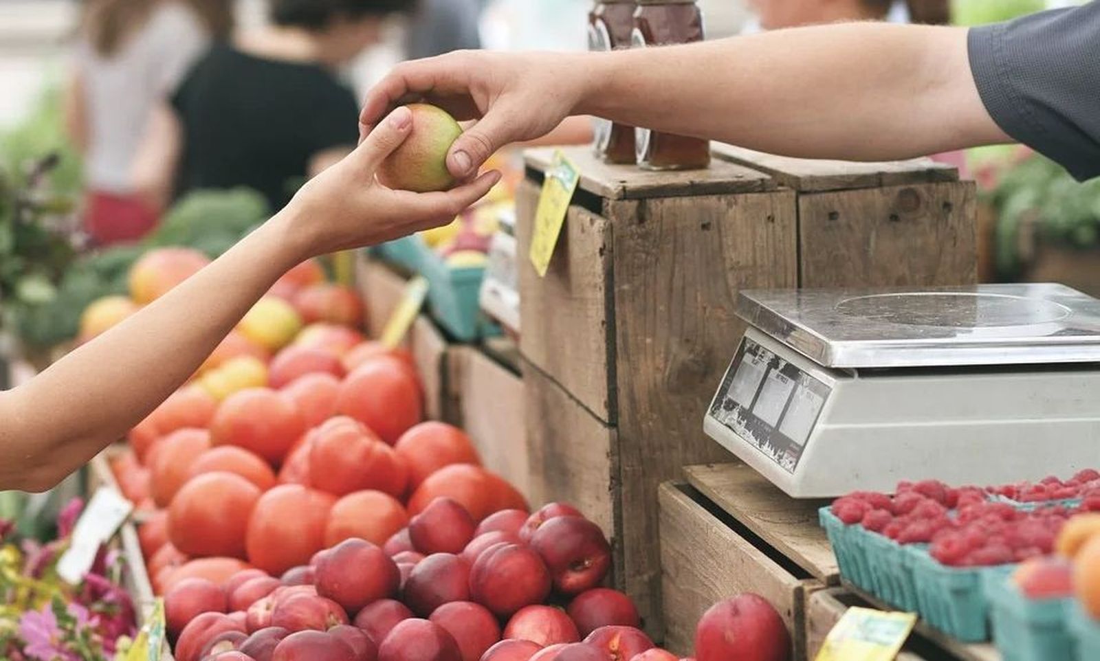 Los agricultores buscan alternativas al mercado mayorista