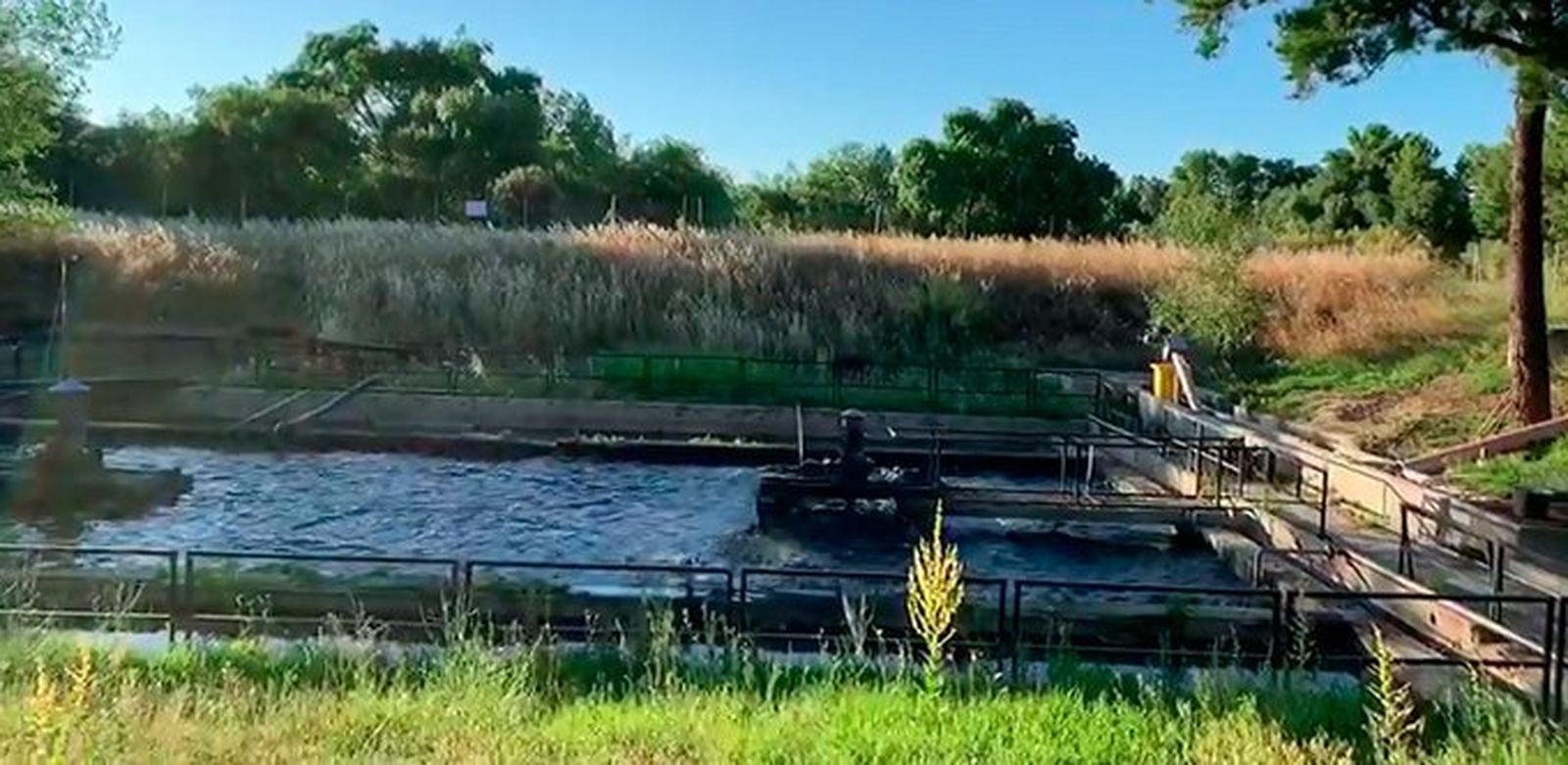 Río Gaudalix