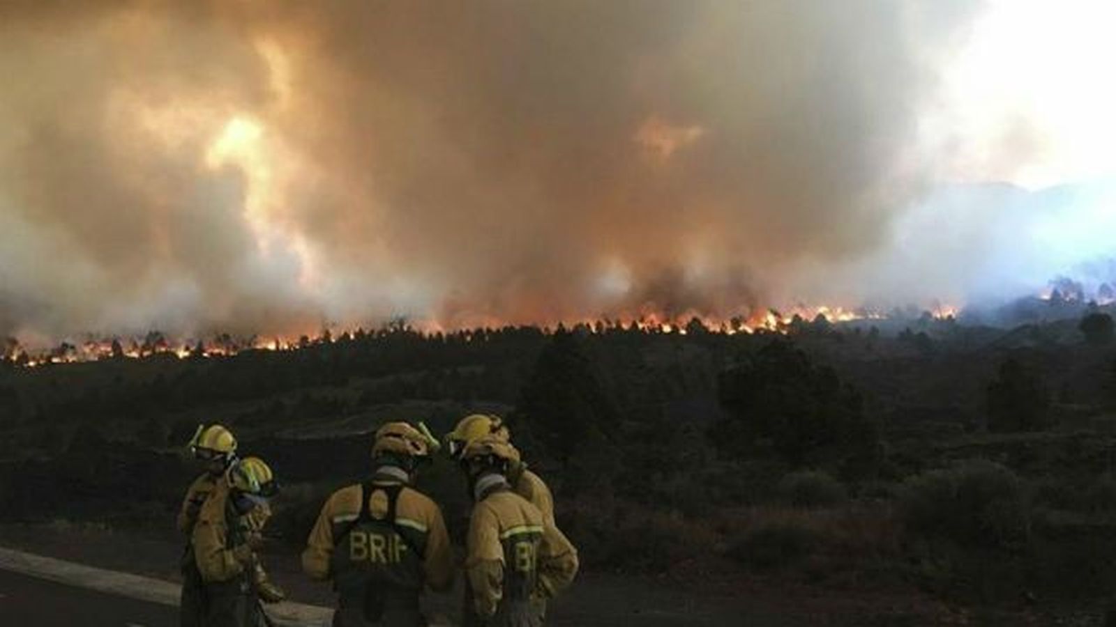 El 6,8% de la superficie de la isla de La Palma se ha visto afectada por el fuego