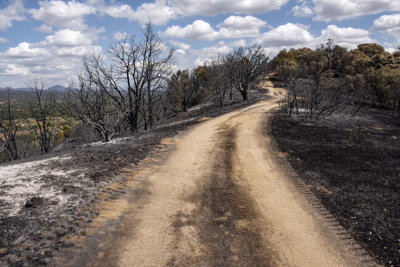 Incendio Sierra Oeste