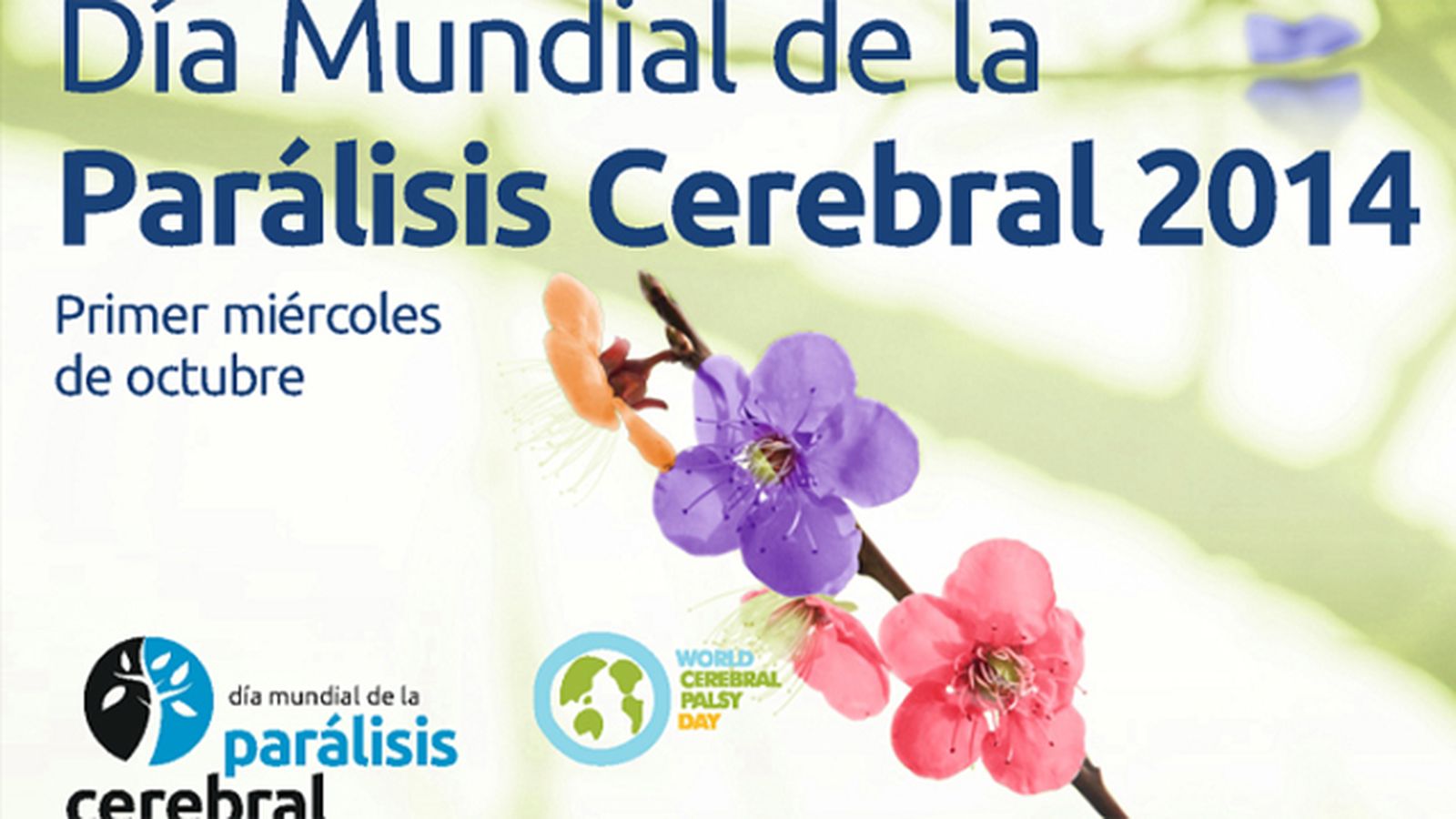 PARALISISCEREBRAL_212