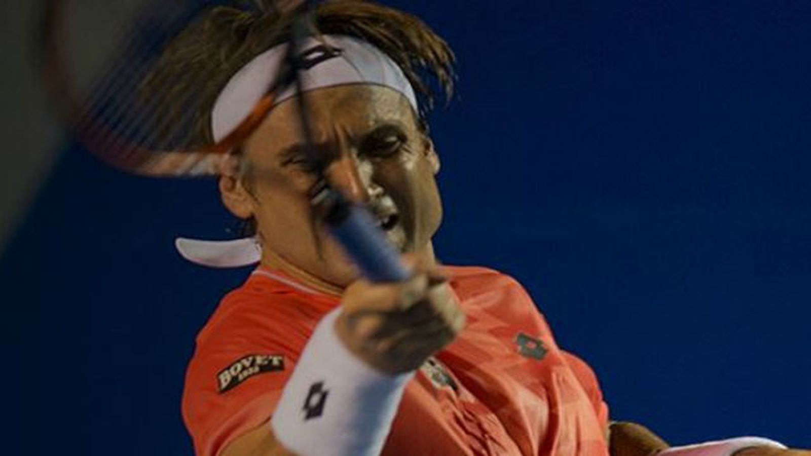 David Ferrer