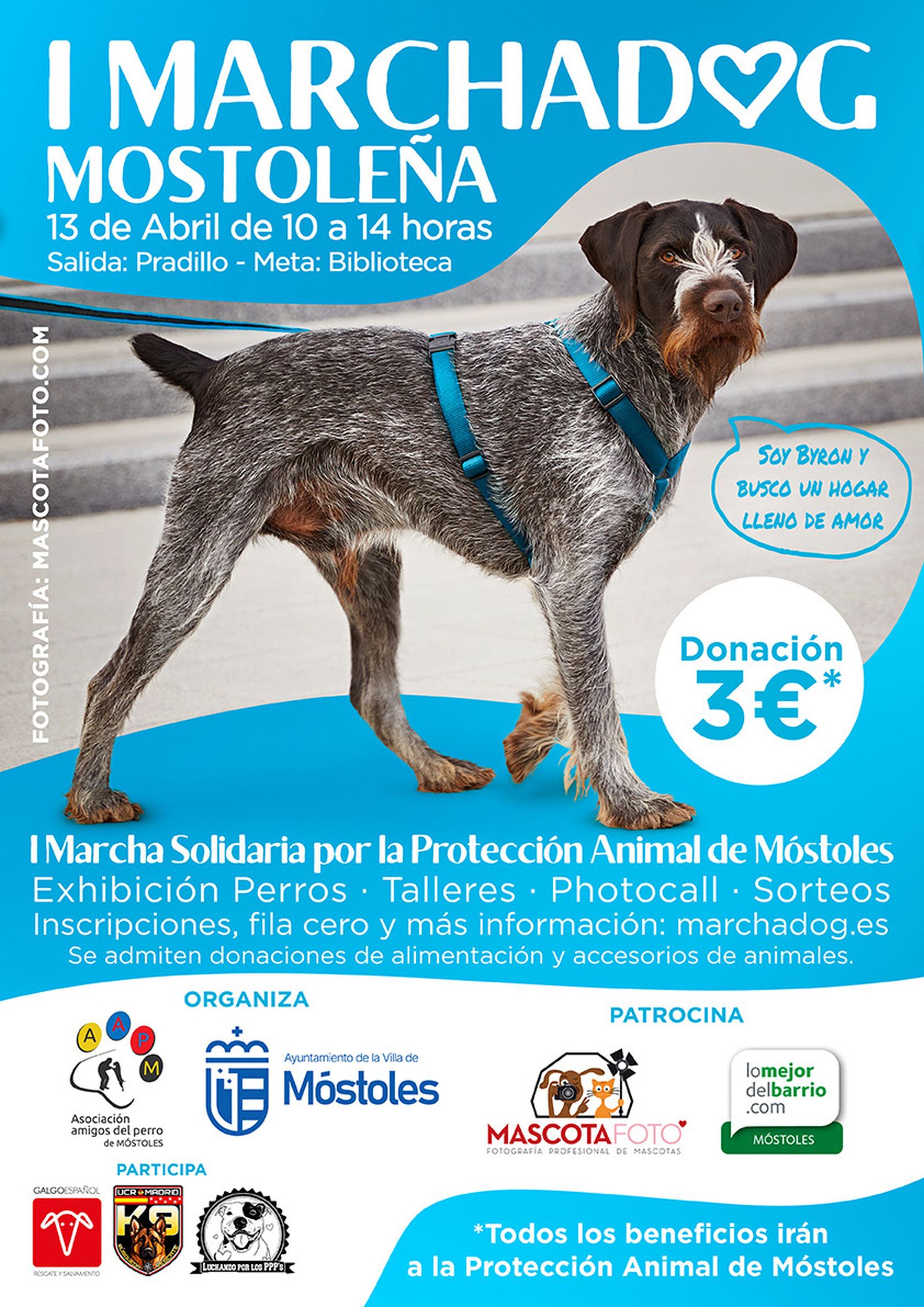 Cartel de la marcha canina solidaria de Móstoles
