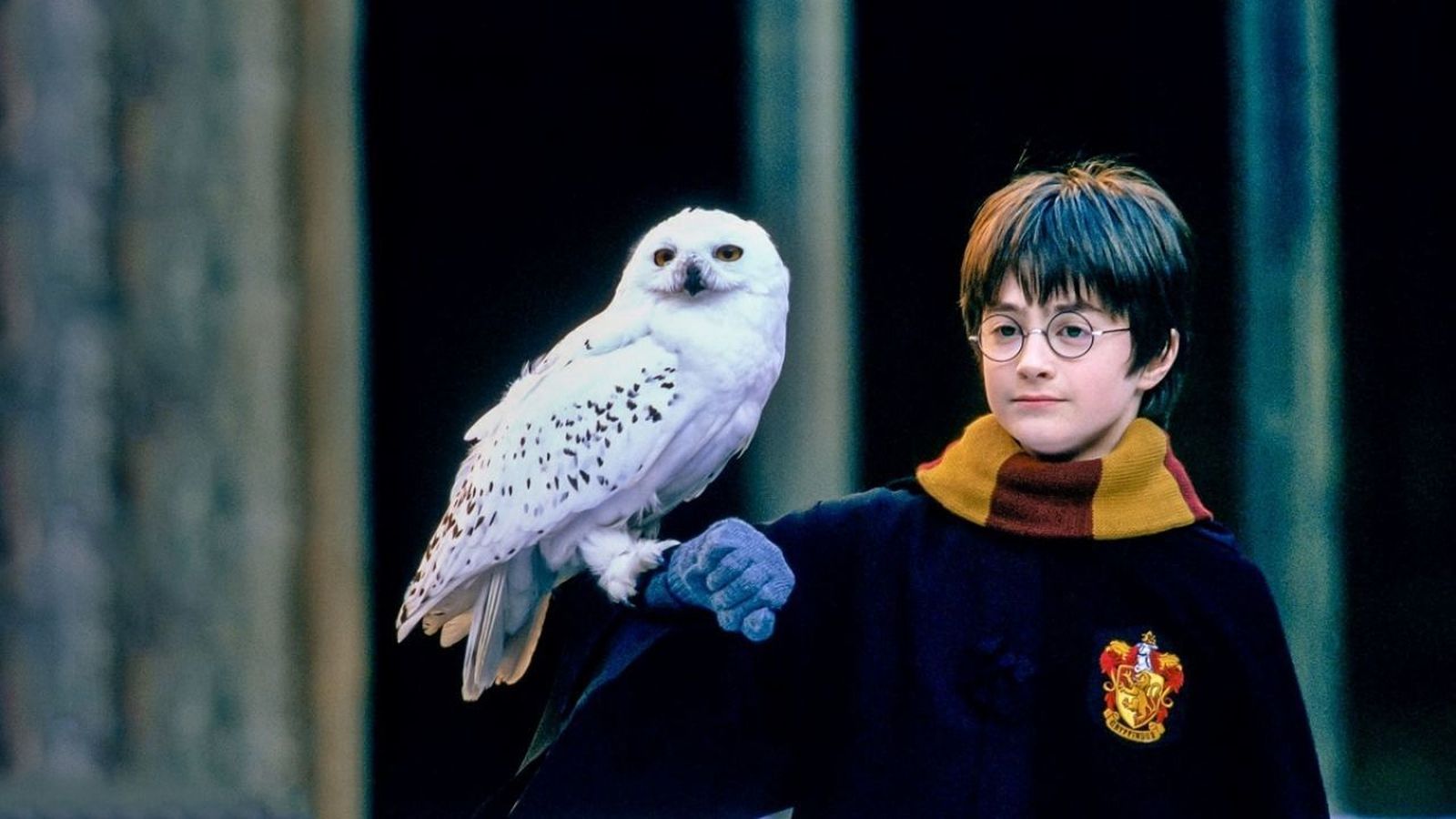 Harry Potter