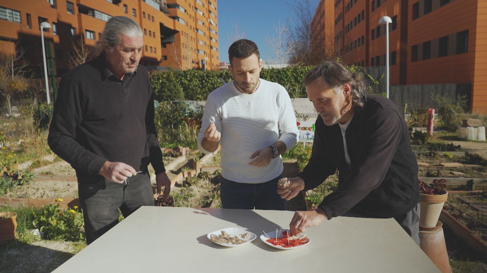 El huerto de Chamartín donde cocinan con los hongos y las bacterias del compost