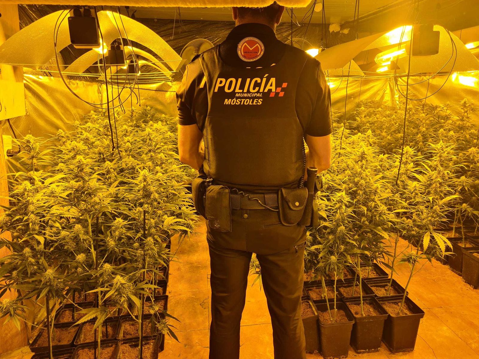 Policía Local de Móstoles