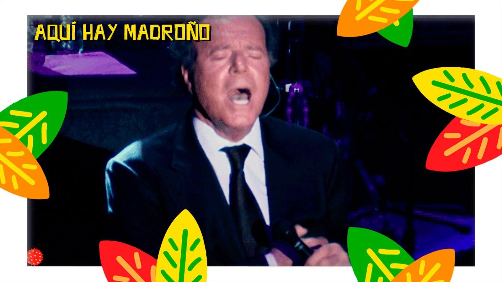 Las bochornosas declaraciones de Julio Iglesias