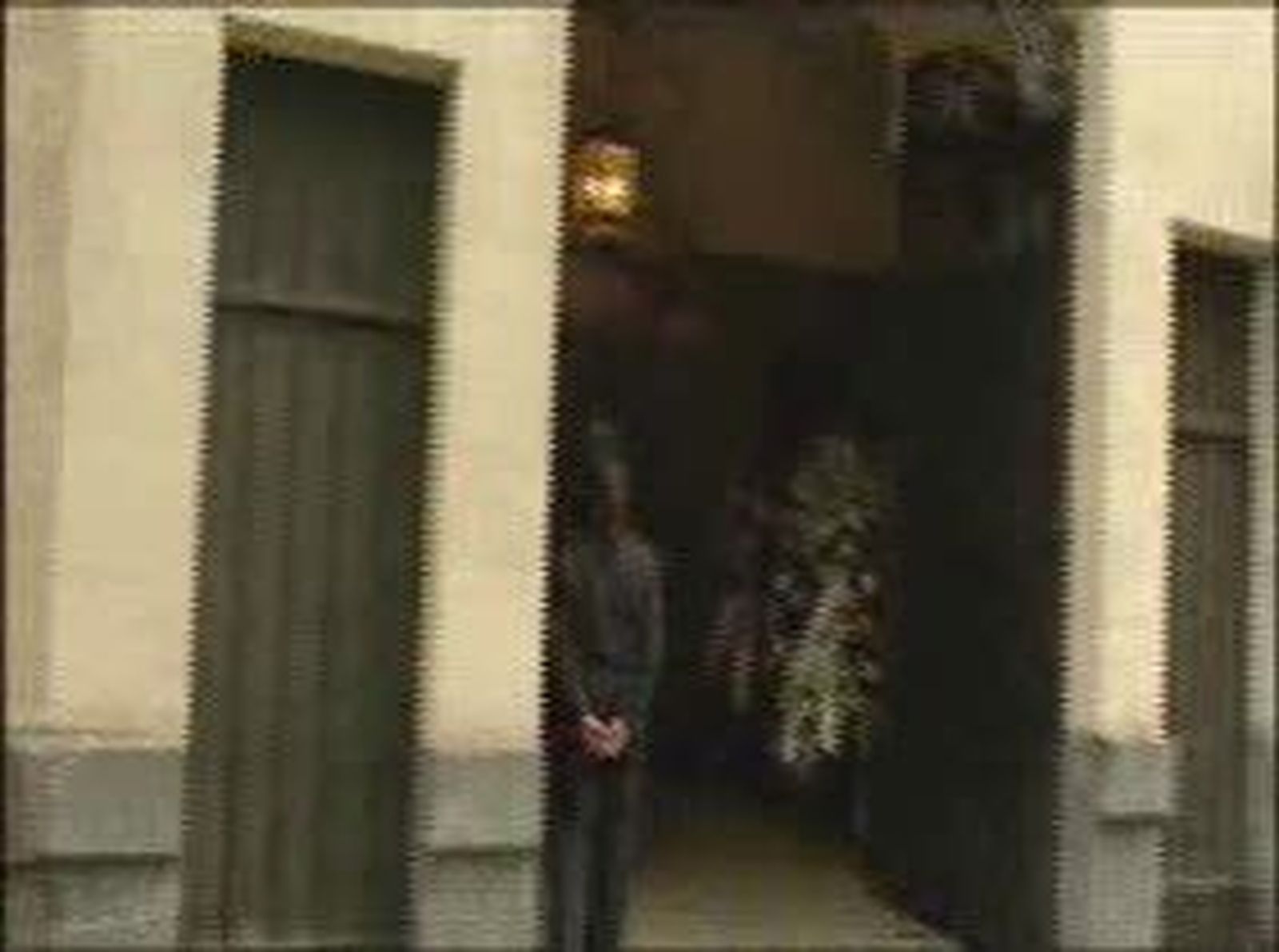 Cronica_20101114V0.wmv