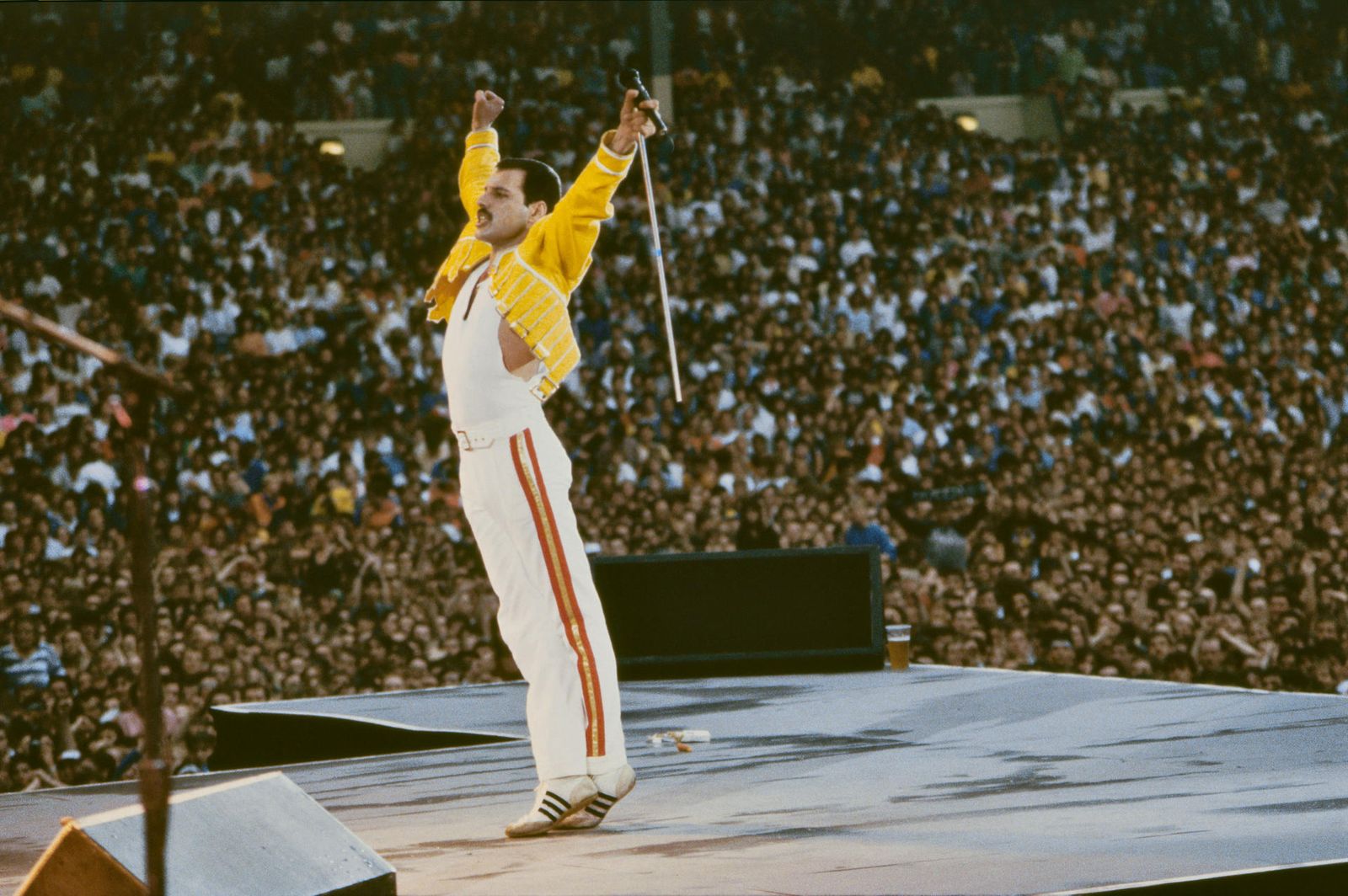 Cantante de Queen Freddie Mercury