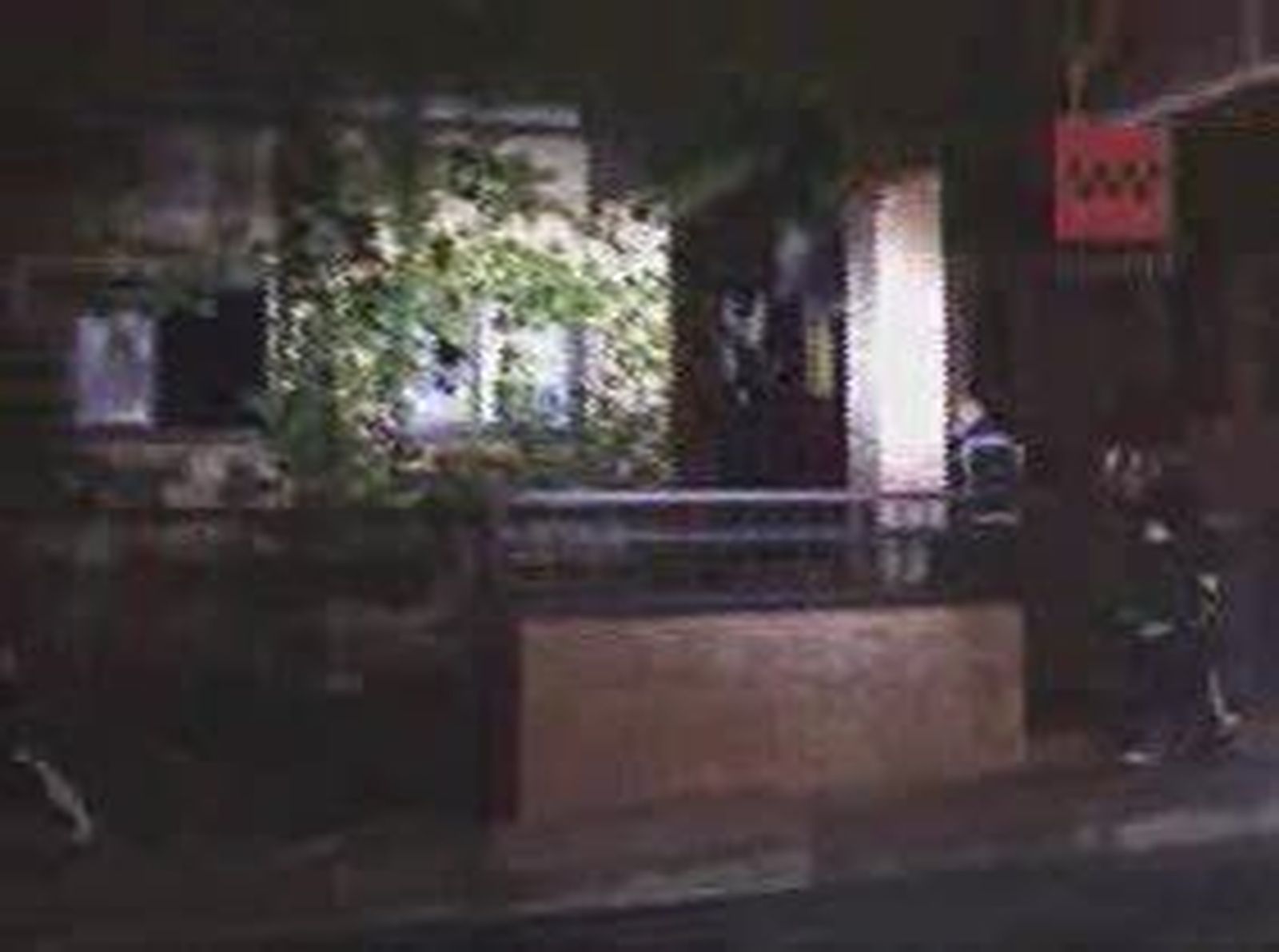 pardillo1_201093V0.wmv