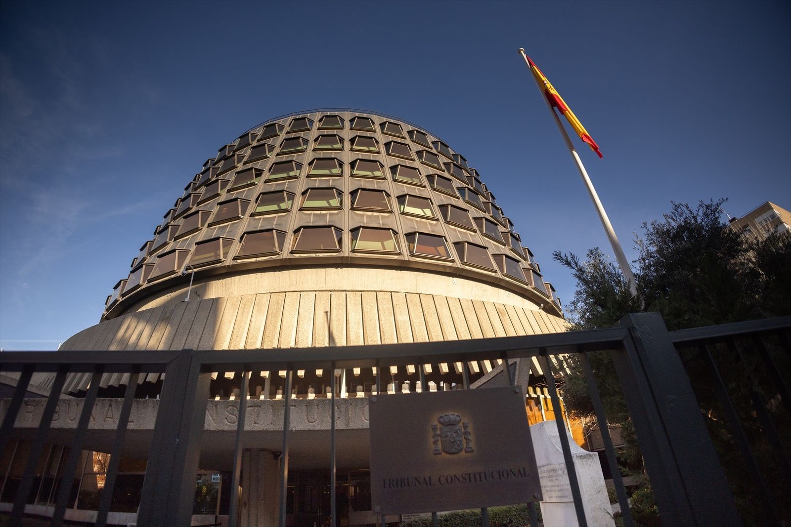 Tribunal Constitucional