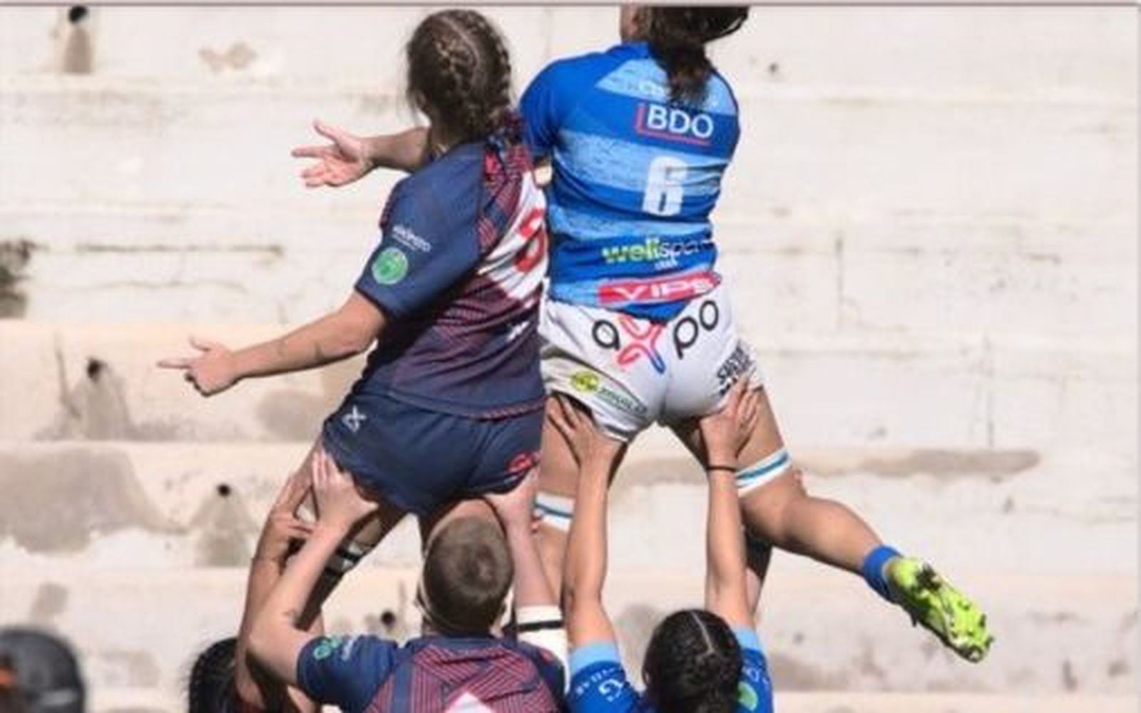 Rugby Majadahonda - Complutense Cisneros