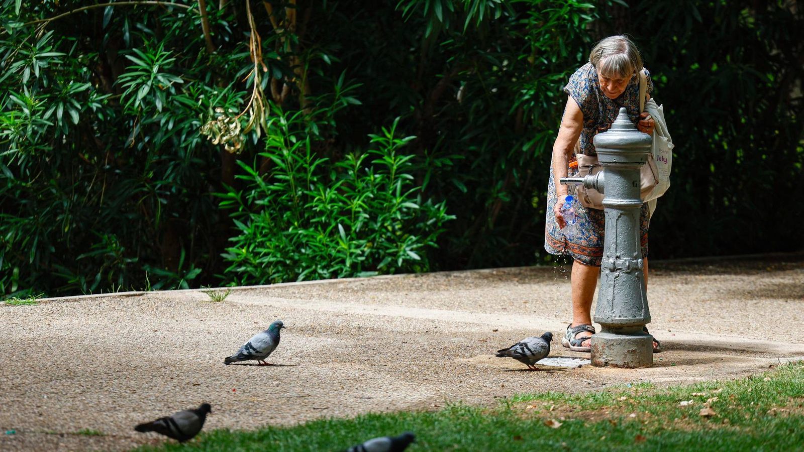Una mujer llena una botella de agua en una fuente pública en eun parque en Madrid