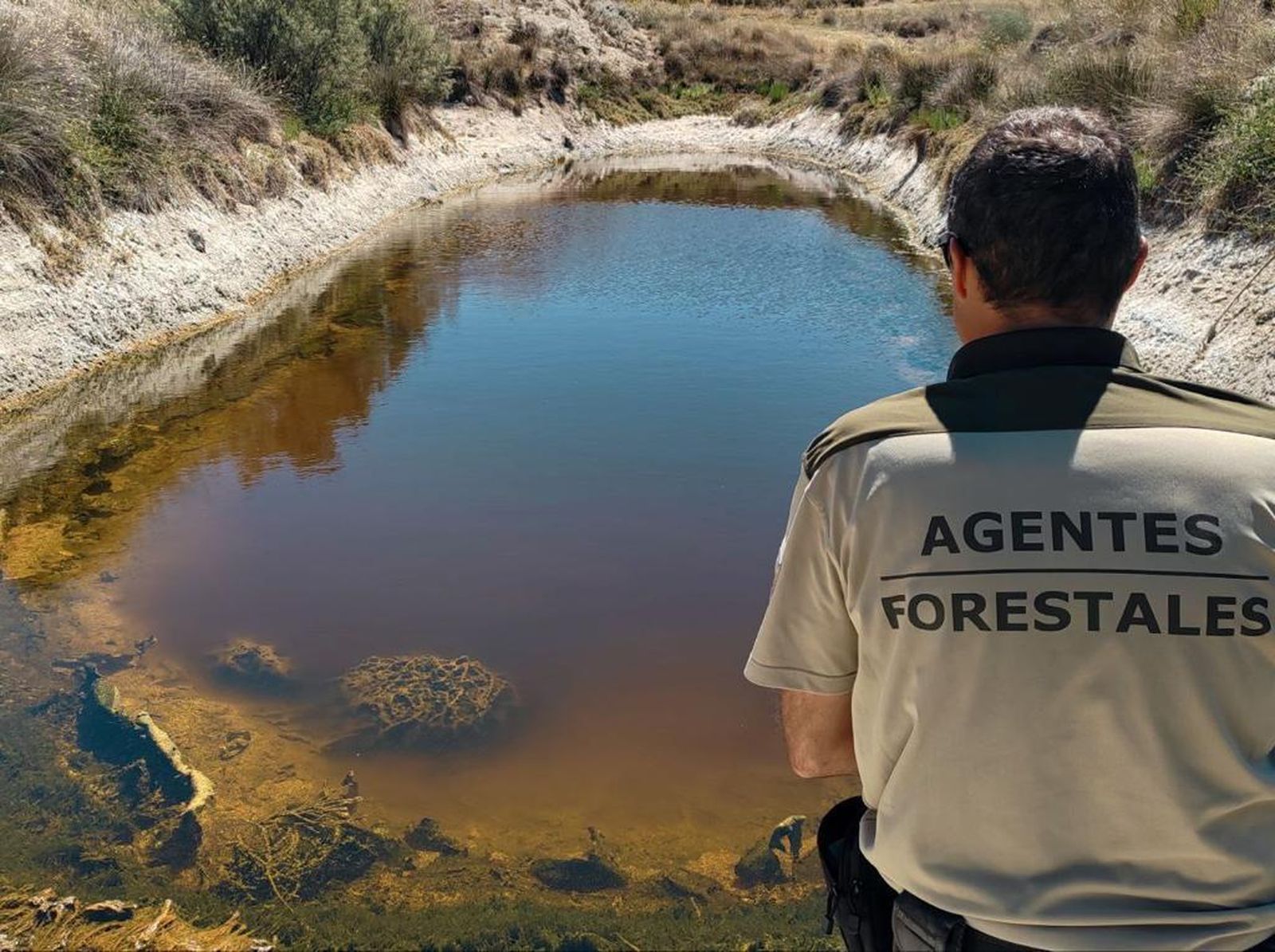 Un agente forestal en la laguna roja de Colmenar de Oreja