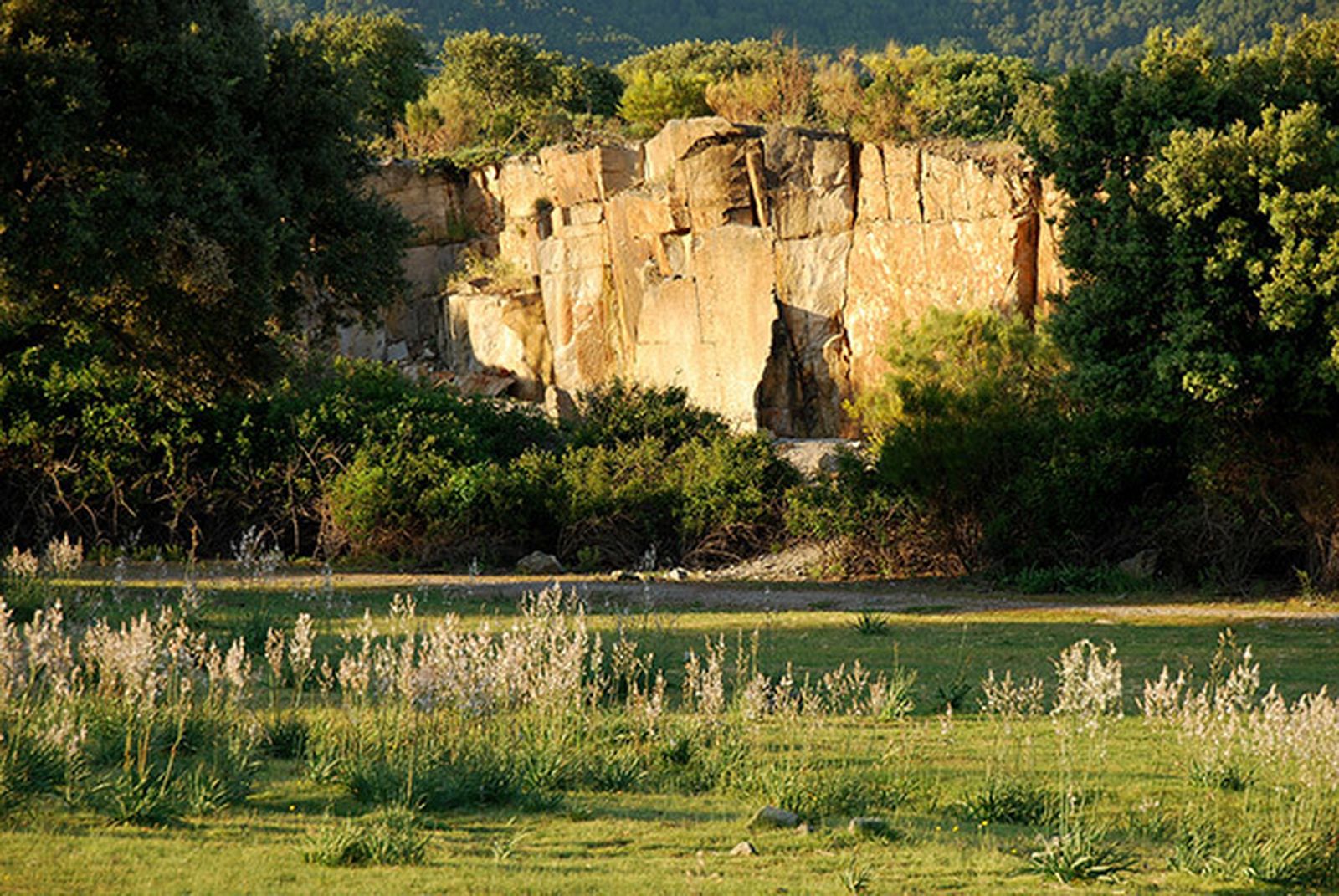 Dehesa Municipal de Alpedrete