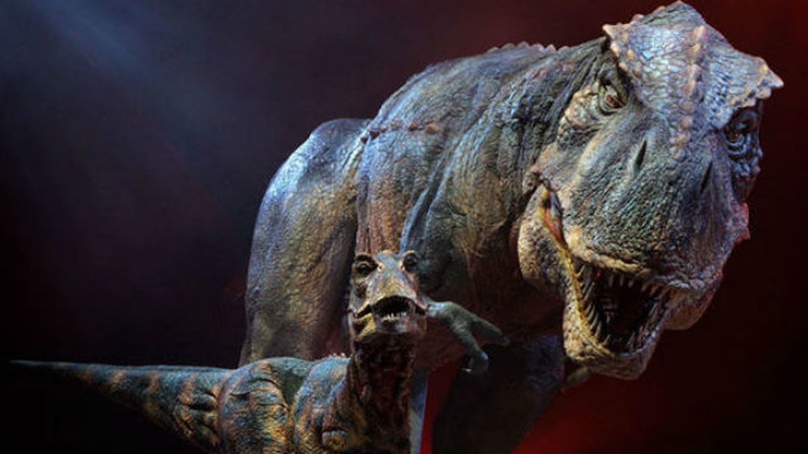 La evolución de los grandes dinosaurios favoreció los ornamentos craneales