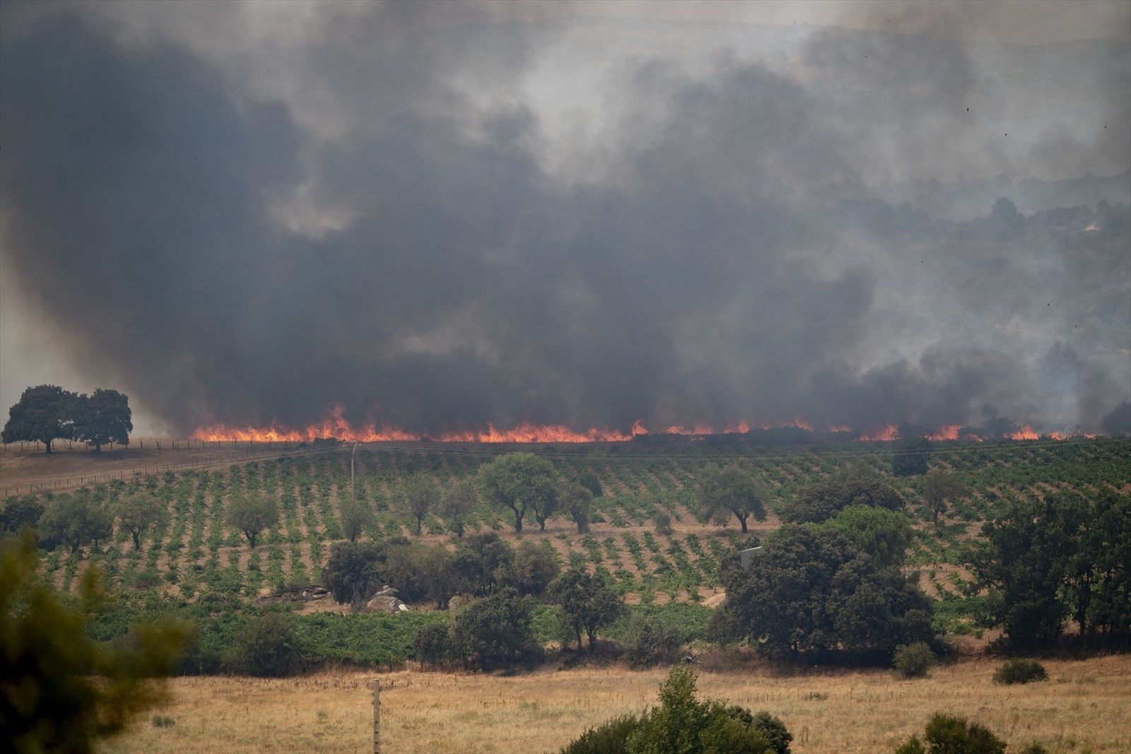 Los vecinos de San Martín de Valdeiglesias se solidarizan y luchan contra el incendio