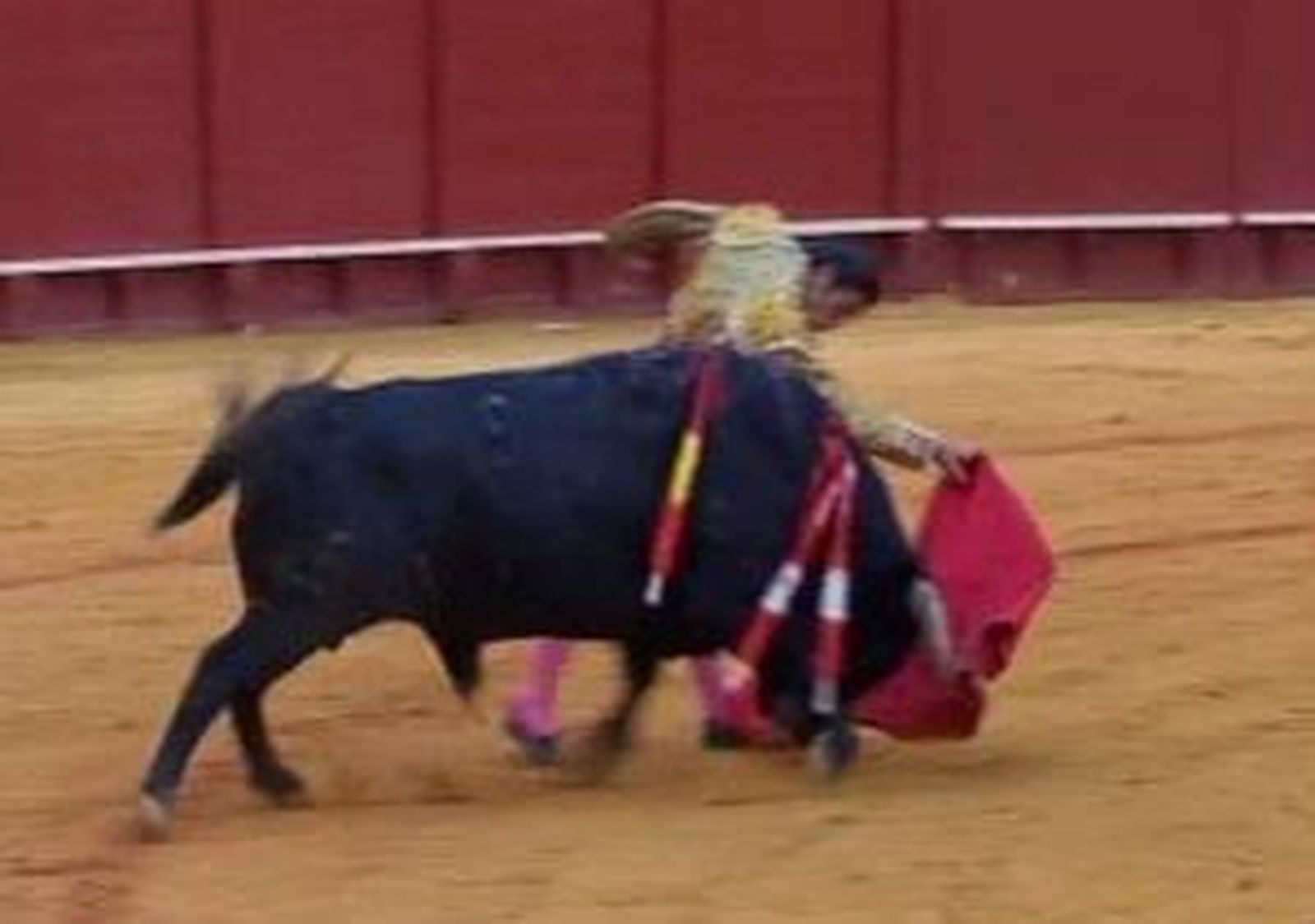 David Mora corta una oreja de un gran toro de El Pilar