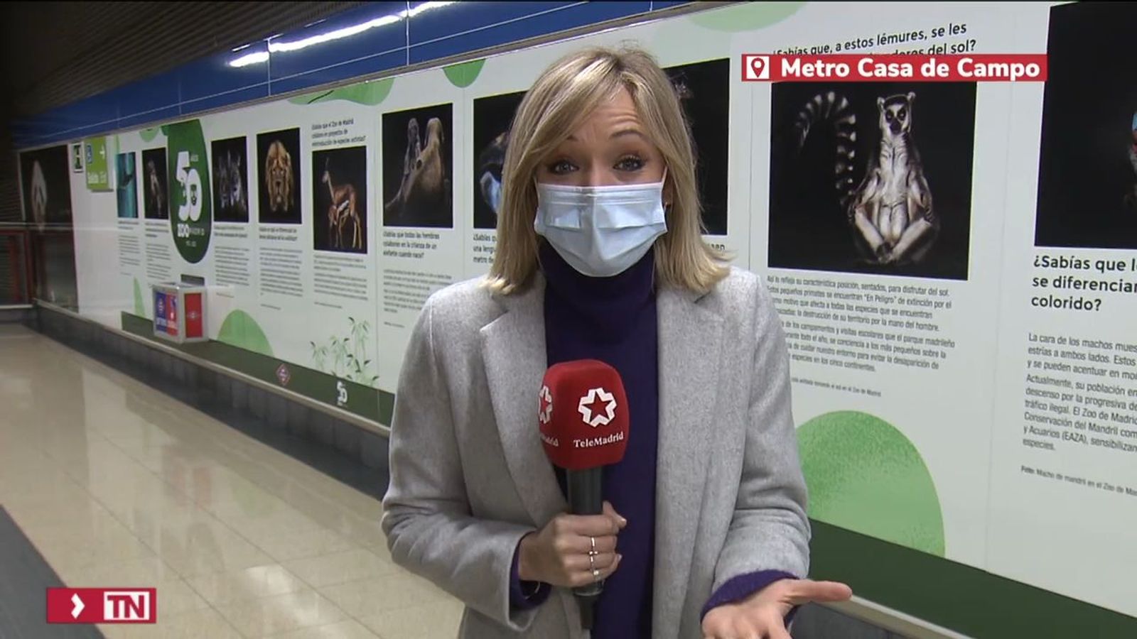 El zoo se traslada al metro