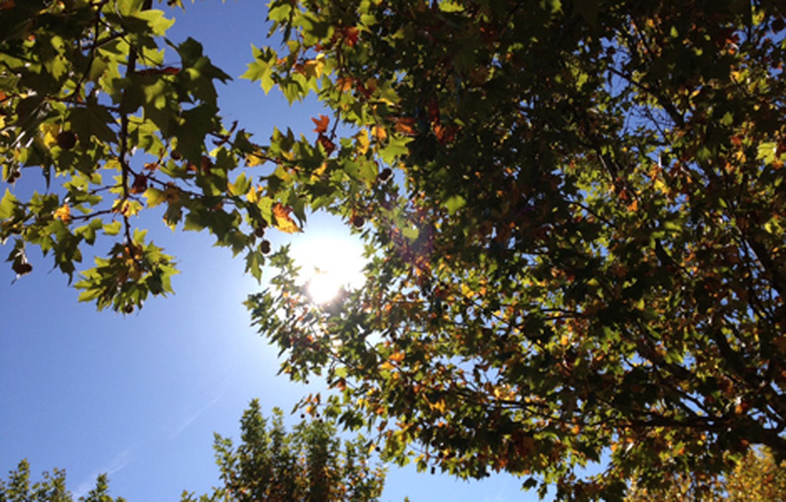 Tiempo otoño 2