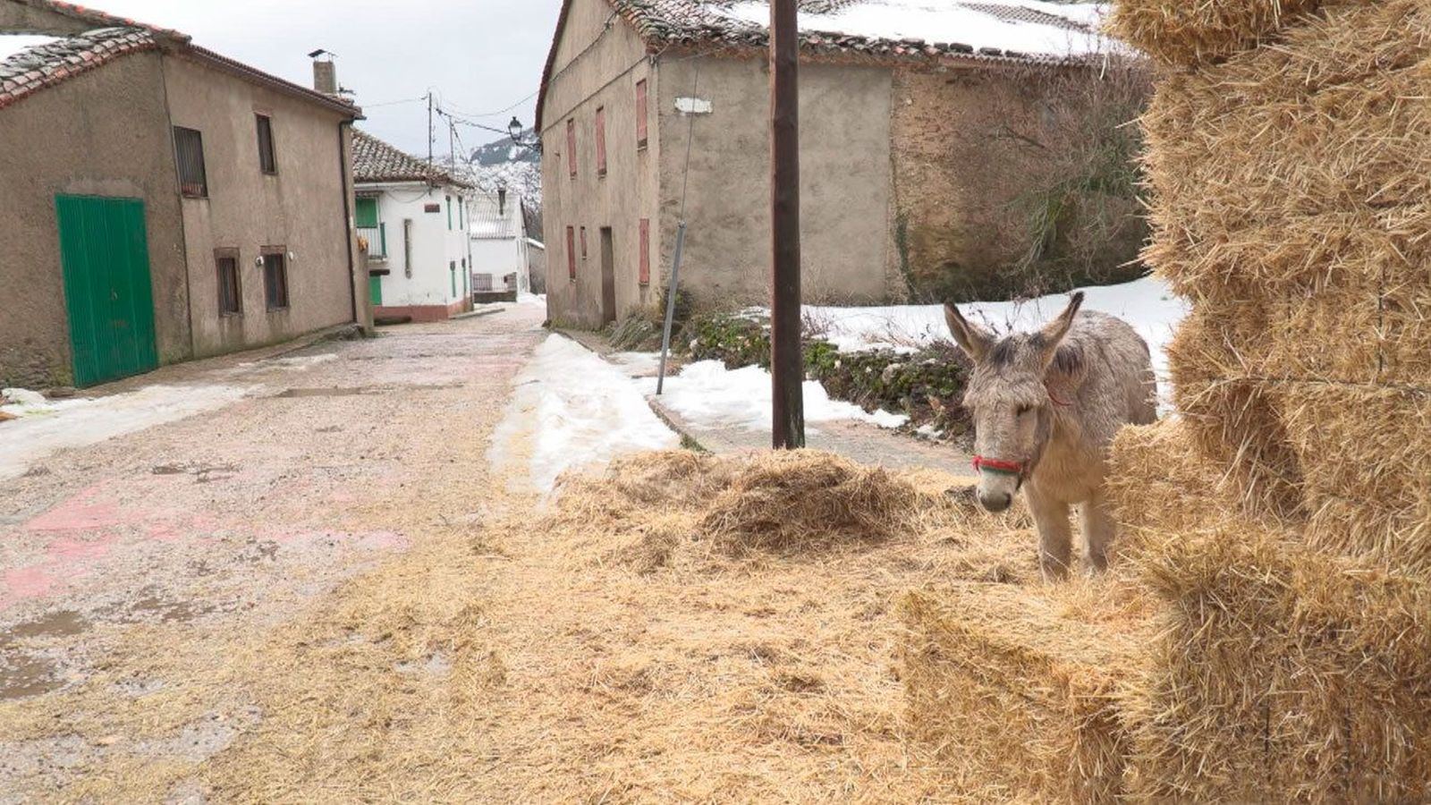 El ejemplo de El Cardoso de la Sierra para luchar contra el duro invierno