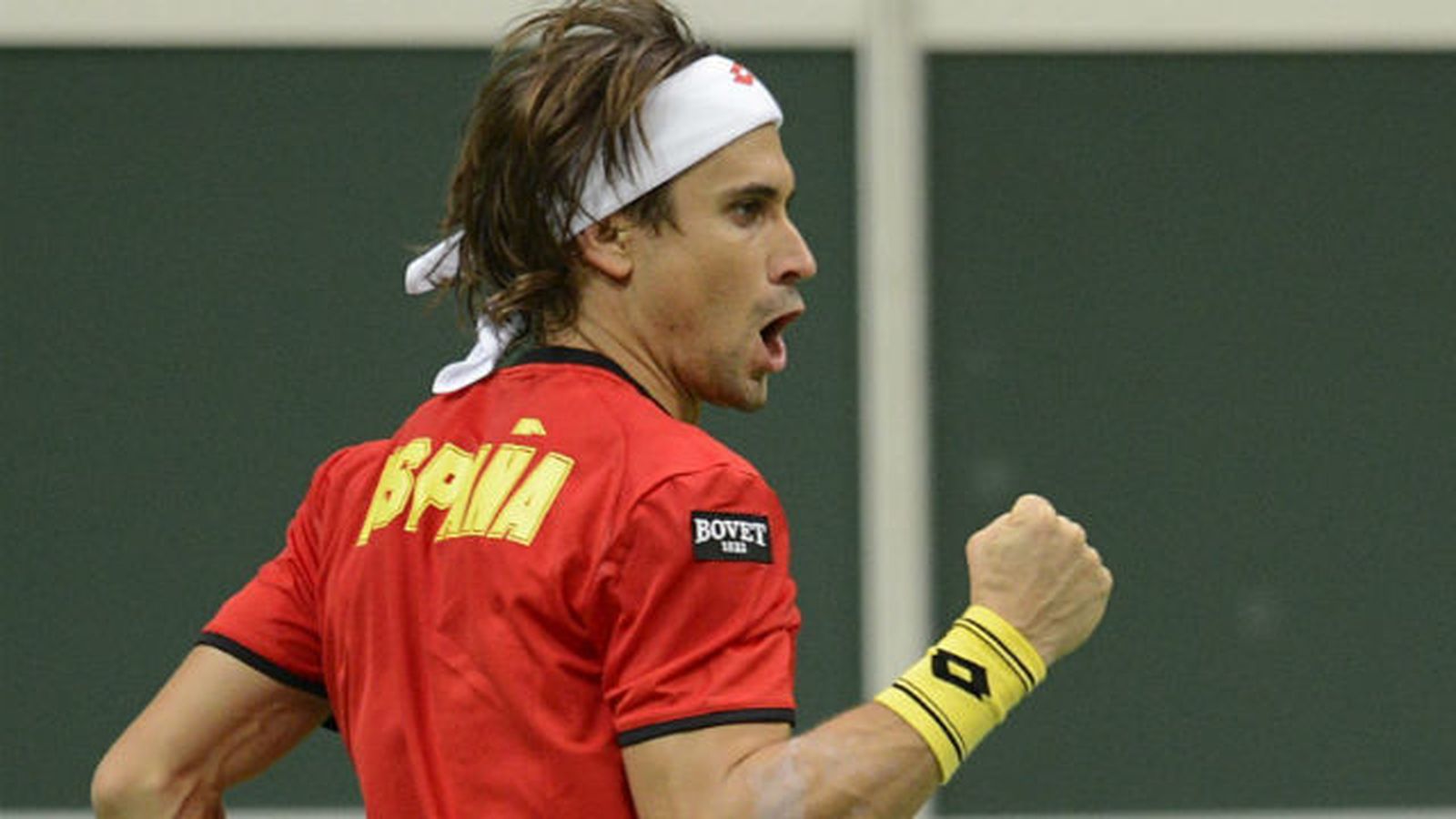 David Ferrer