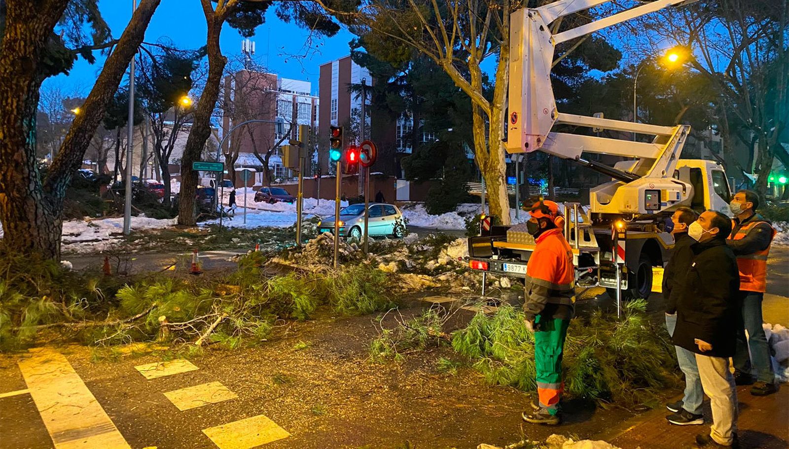 Estado en que se encuentra el arbolado de la calle Arturo Soria
