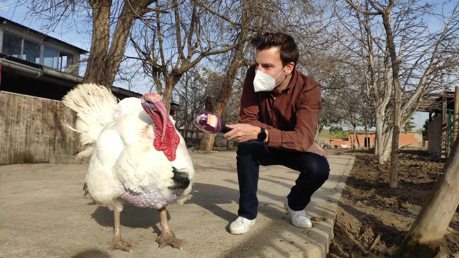 Nuestro reportero Javier Silvestre con uno de los habitantes de 'Santuario Vegan'