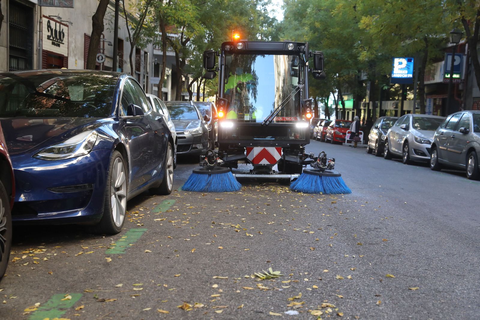 Comienza en Madrid la campaña de recogida de la hoja